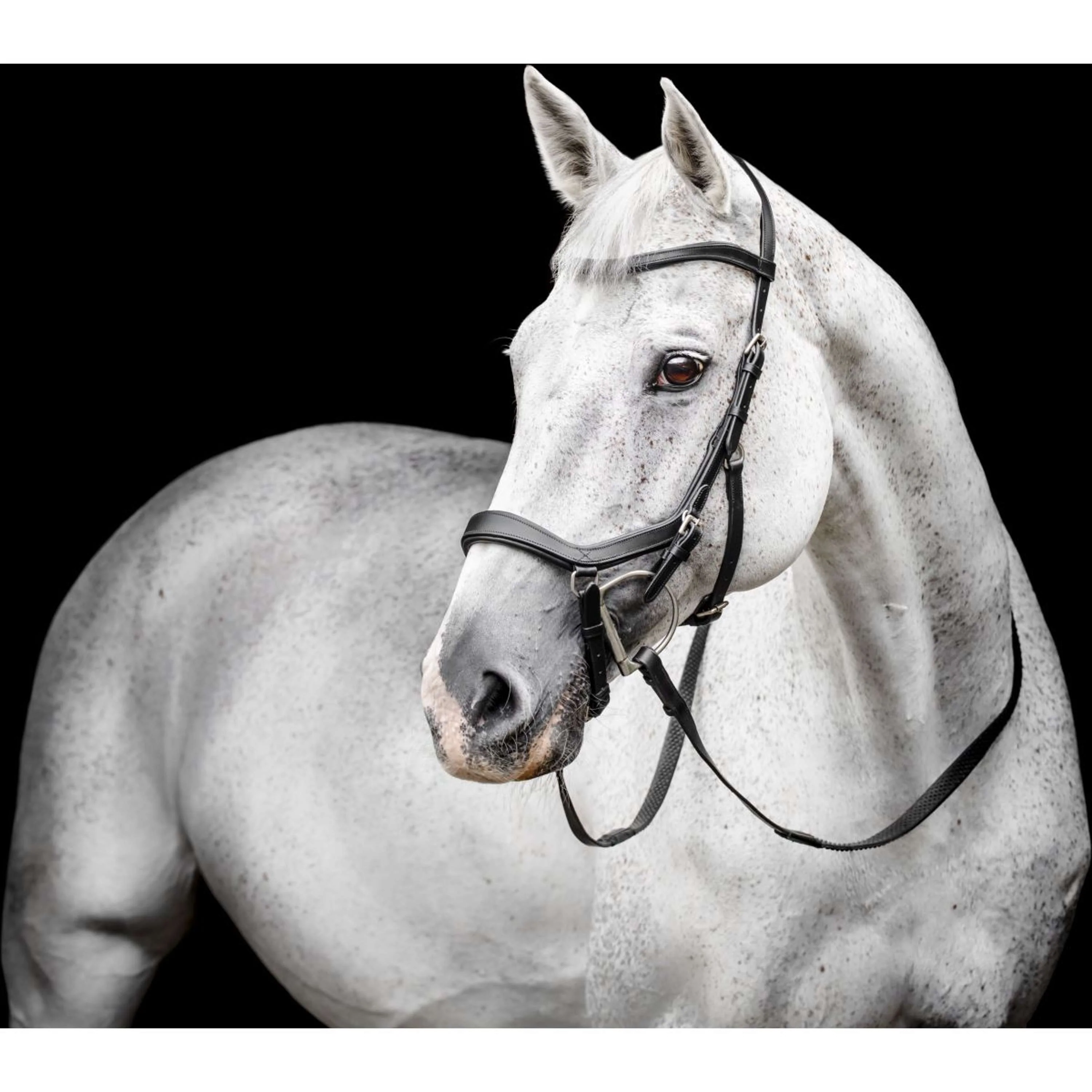Horseware Micklem Competition Bridle Noir - Image 2