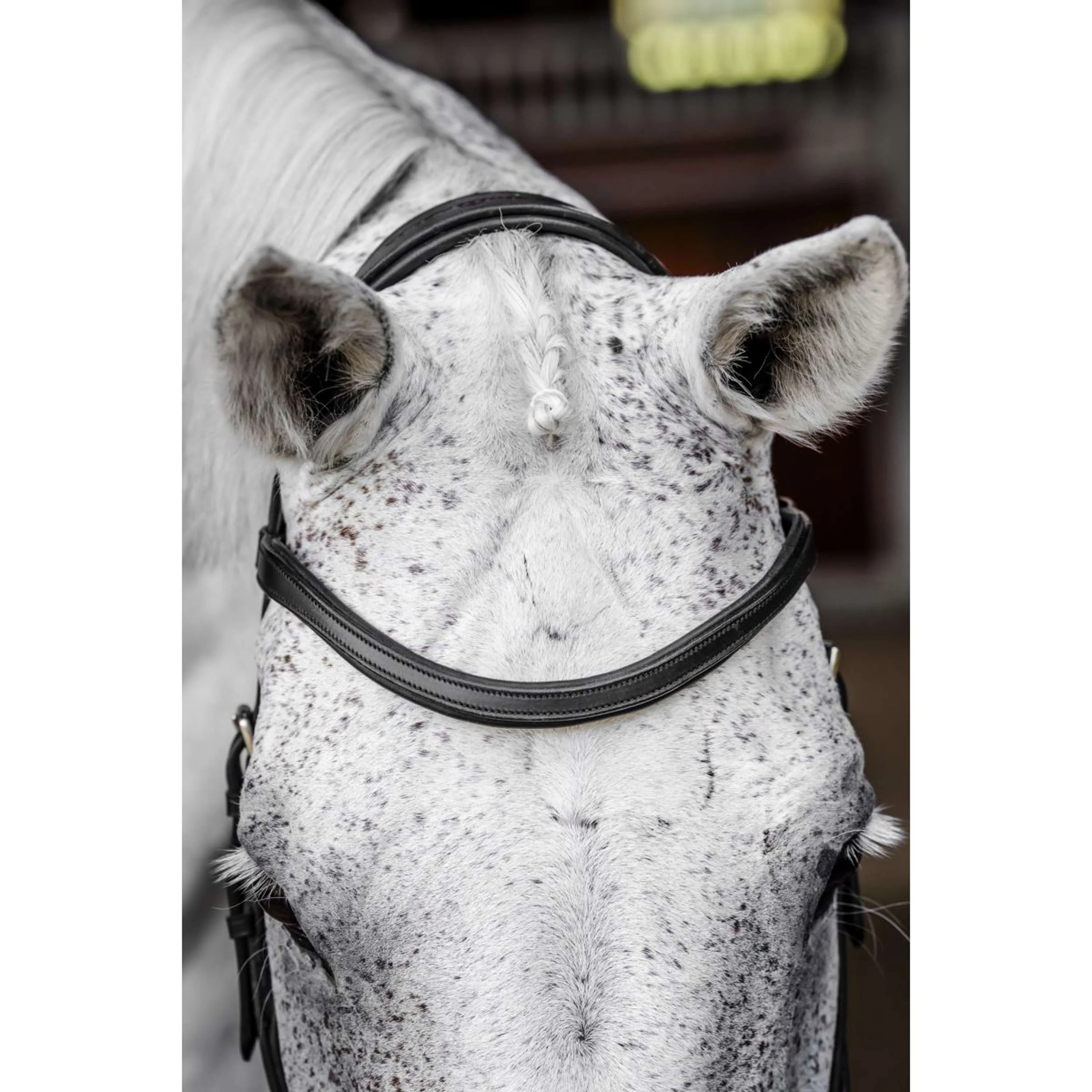 Horseware Micklem Competition Bridle Noir - Image 3