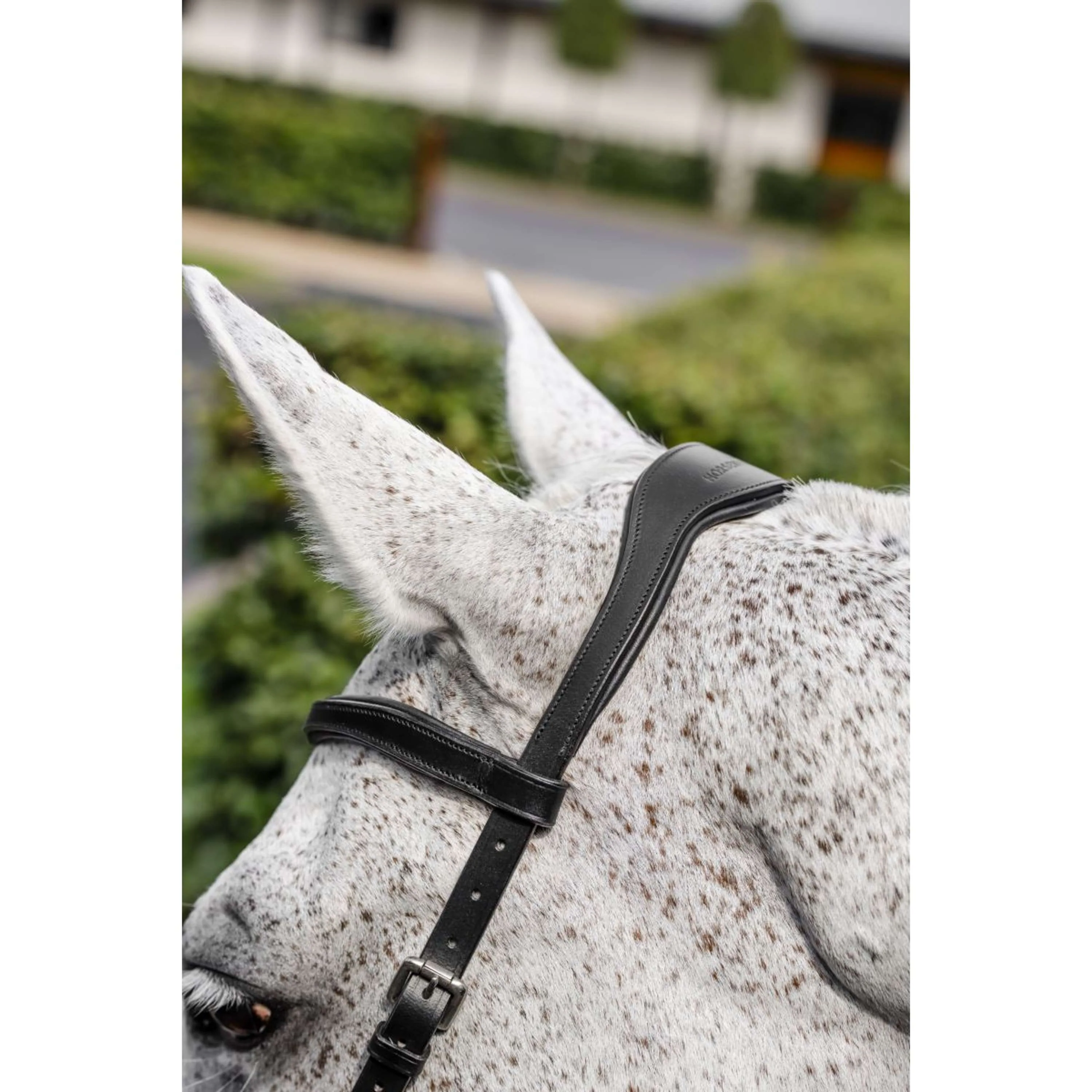 Horseware Micklem Competition Bridle Noir - Image 4
