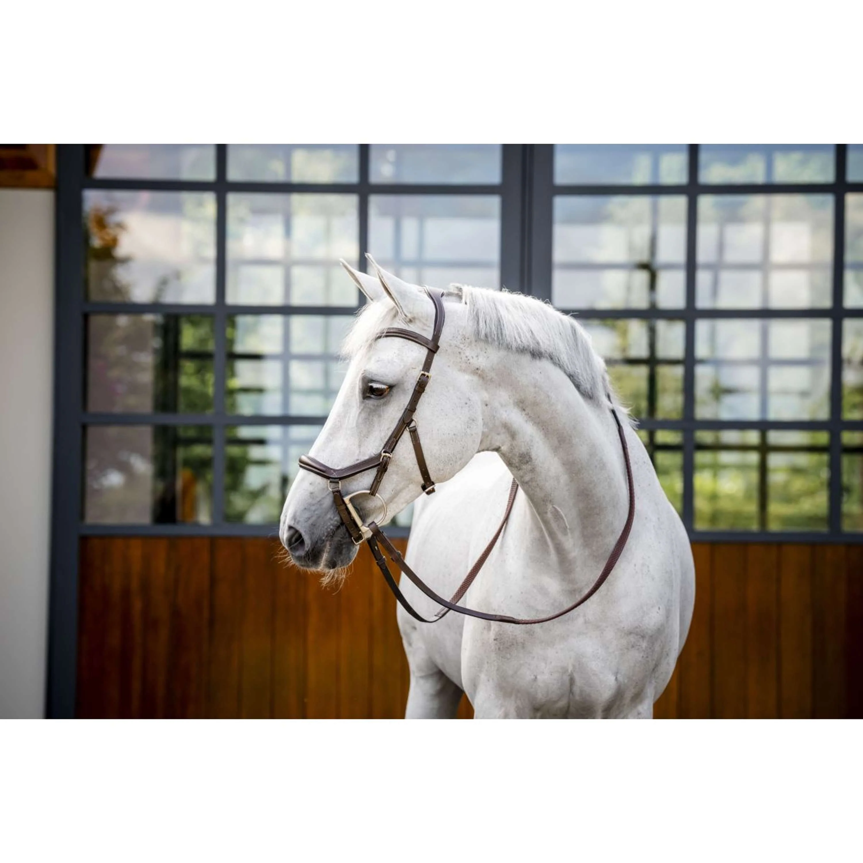 Horseware Micklem Deluxe Competition Bridle Dark Havana - Image 7