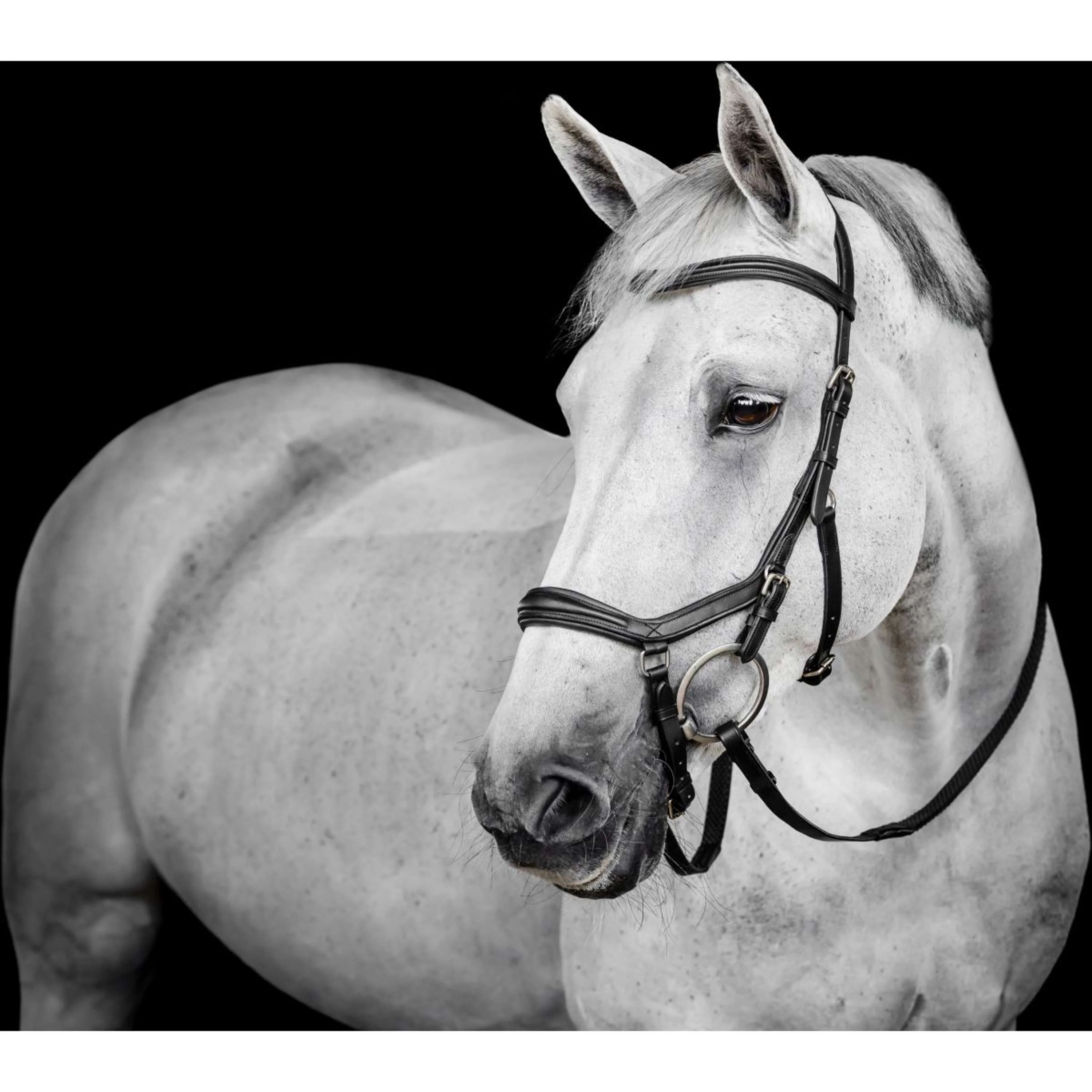 Horseware Micklem Deluxe Competition Bridle Noir - Image 2