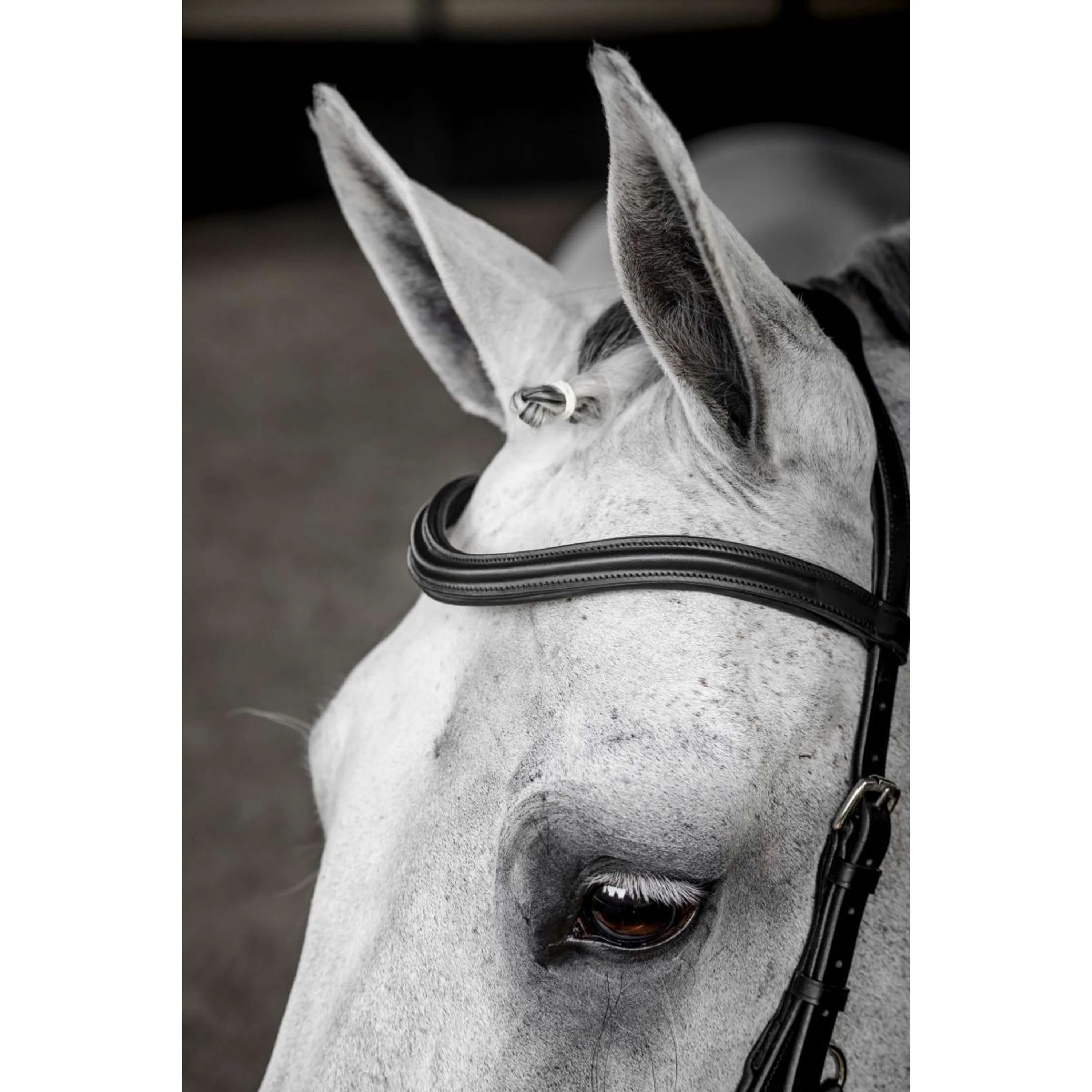 Horseware Micklem Deluxe Competition Bridle Noir - Image 3