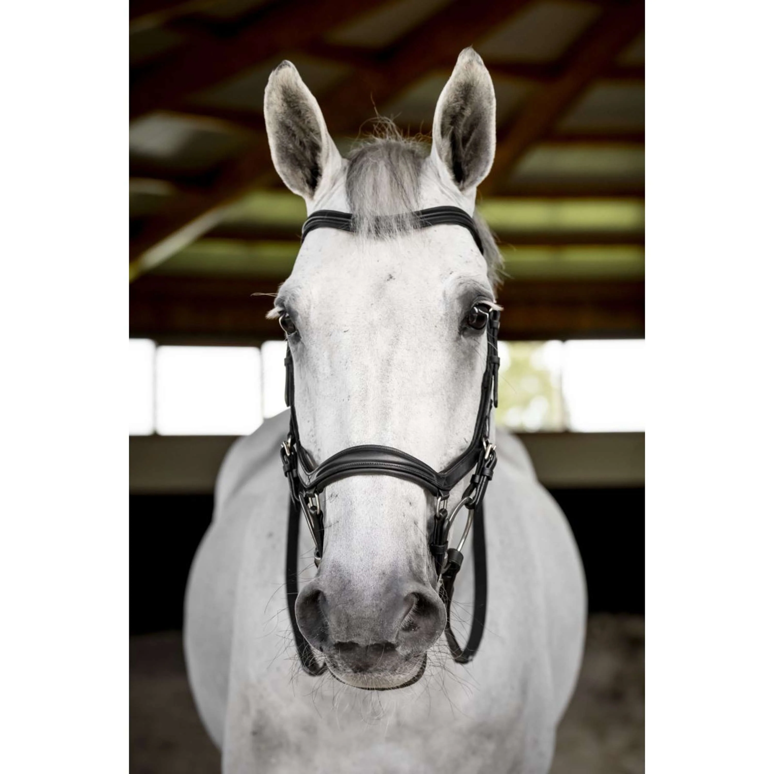 Horseware Micklem Deluxe Competition Bridle Noir - Image 4