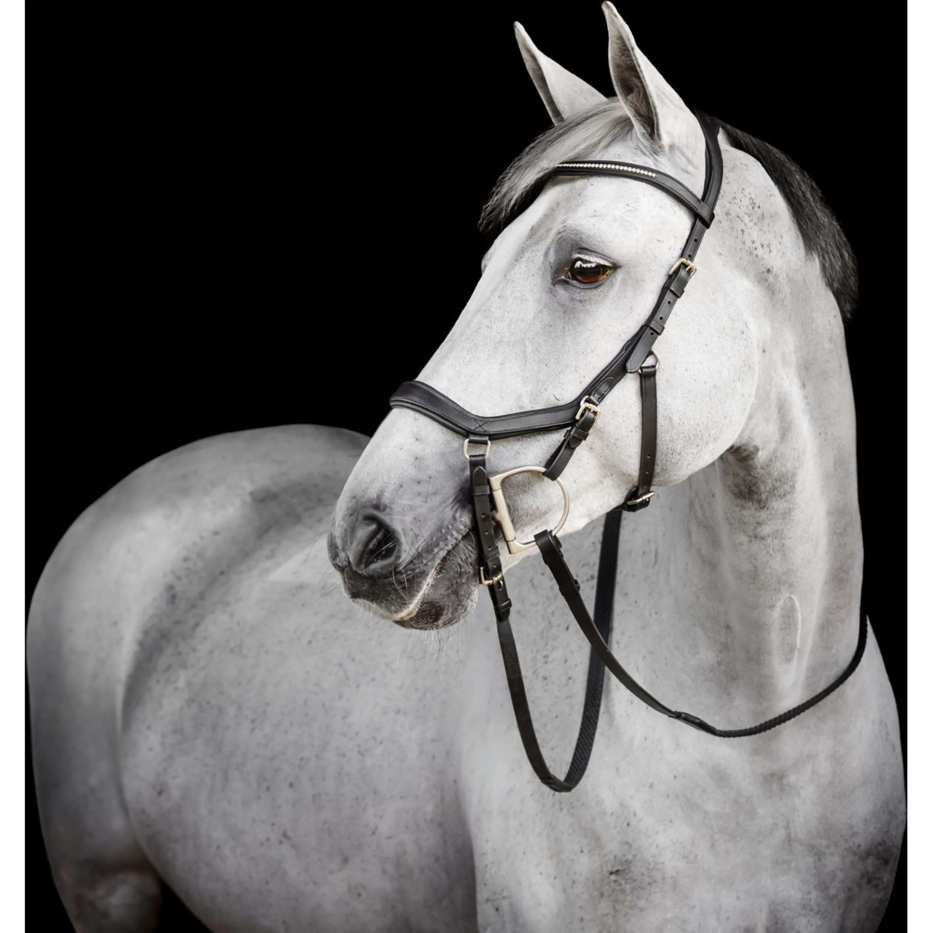 Horseware Micklem Diamante Competition Bridle Noir - Image 2