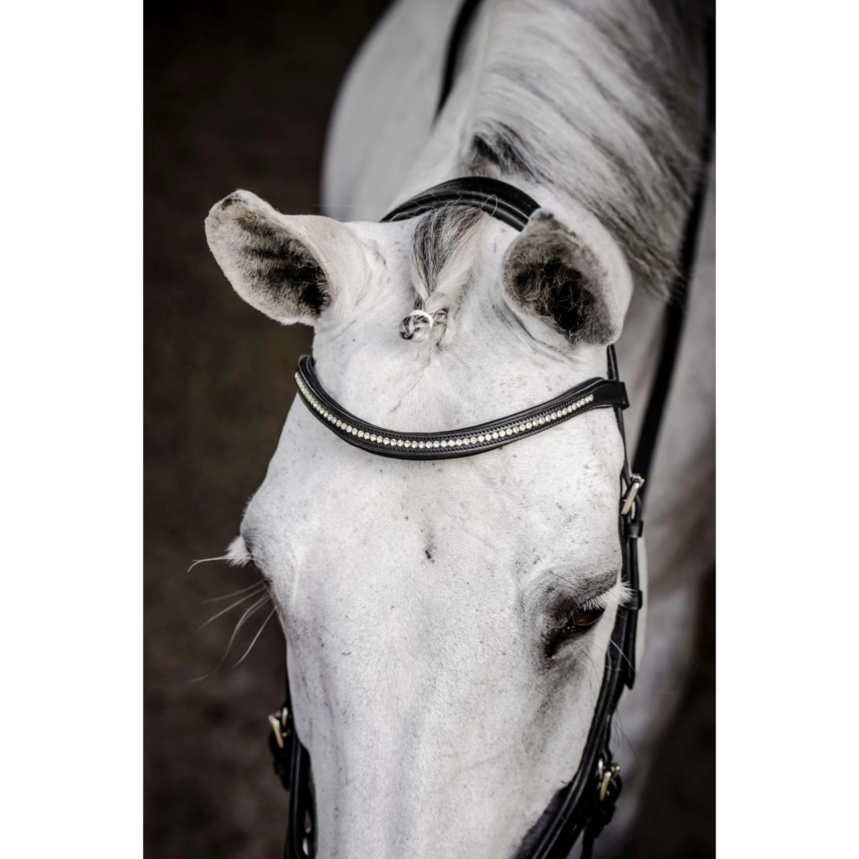 Horseware Micklem Diamante Competition Bridle Noir - Image 3