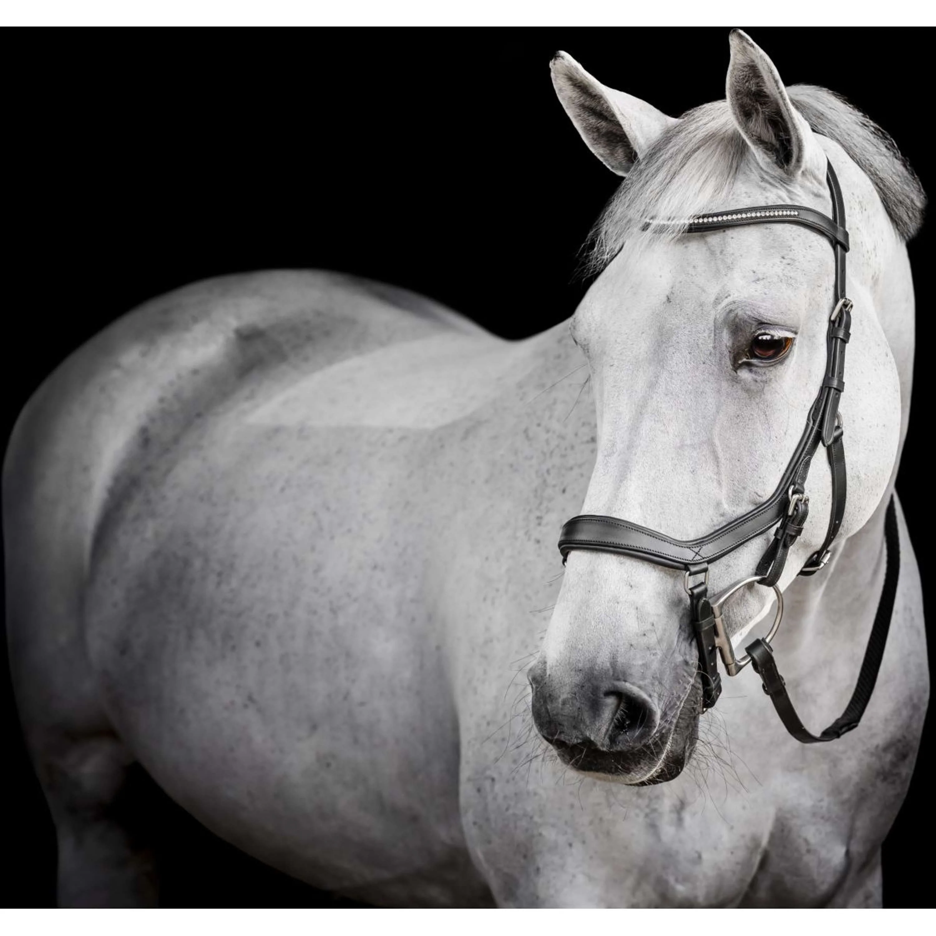 Horseware Micklem Diamante Competition Bridle Noir - Image 5