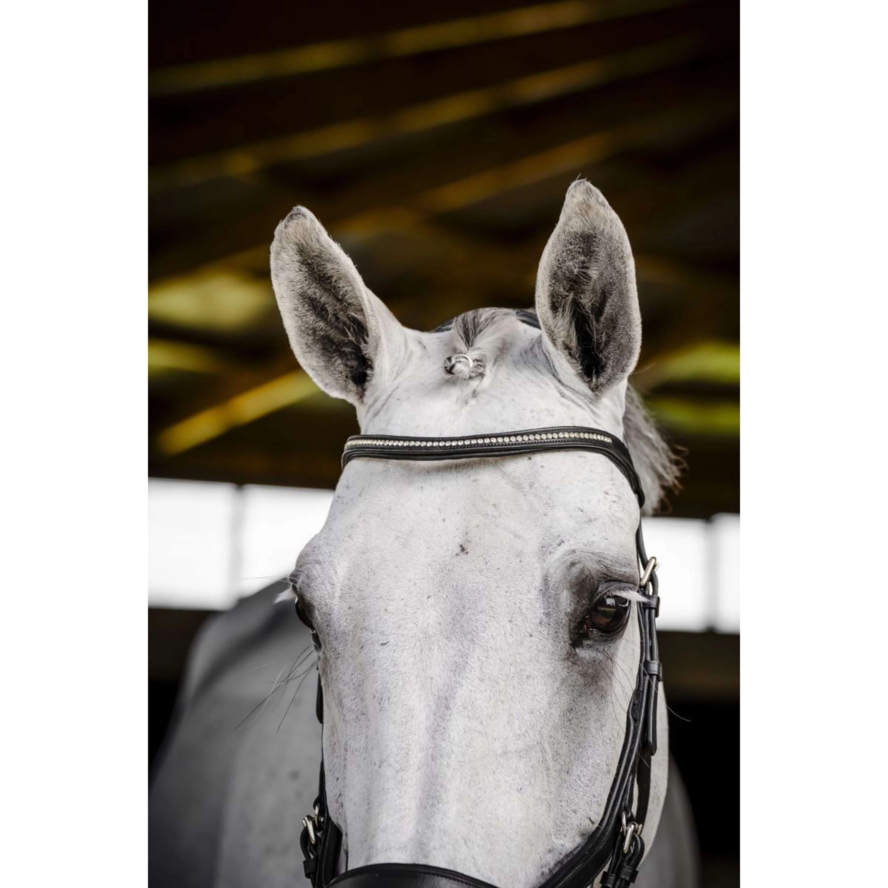 Horseware Micklem Diamante Competition Bridle Noir - Image 6