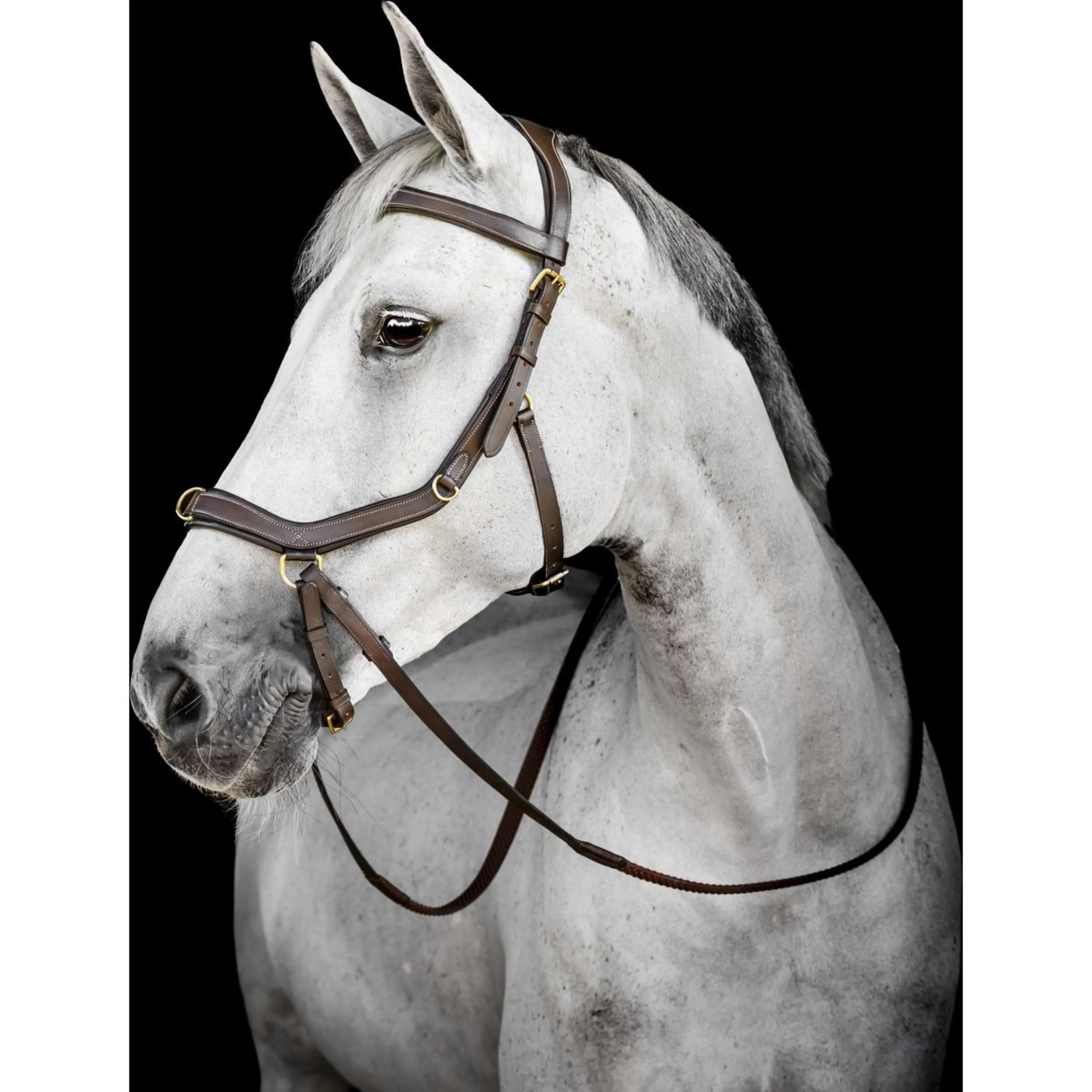 Horseware Micklem Multi Bridle Dark Havana - Image 2