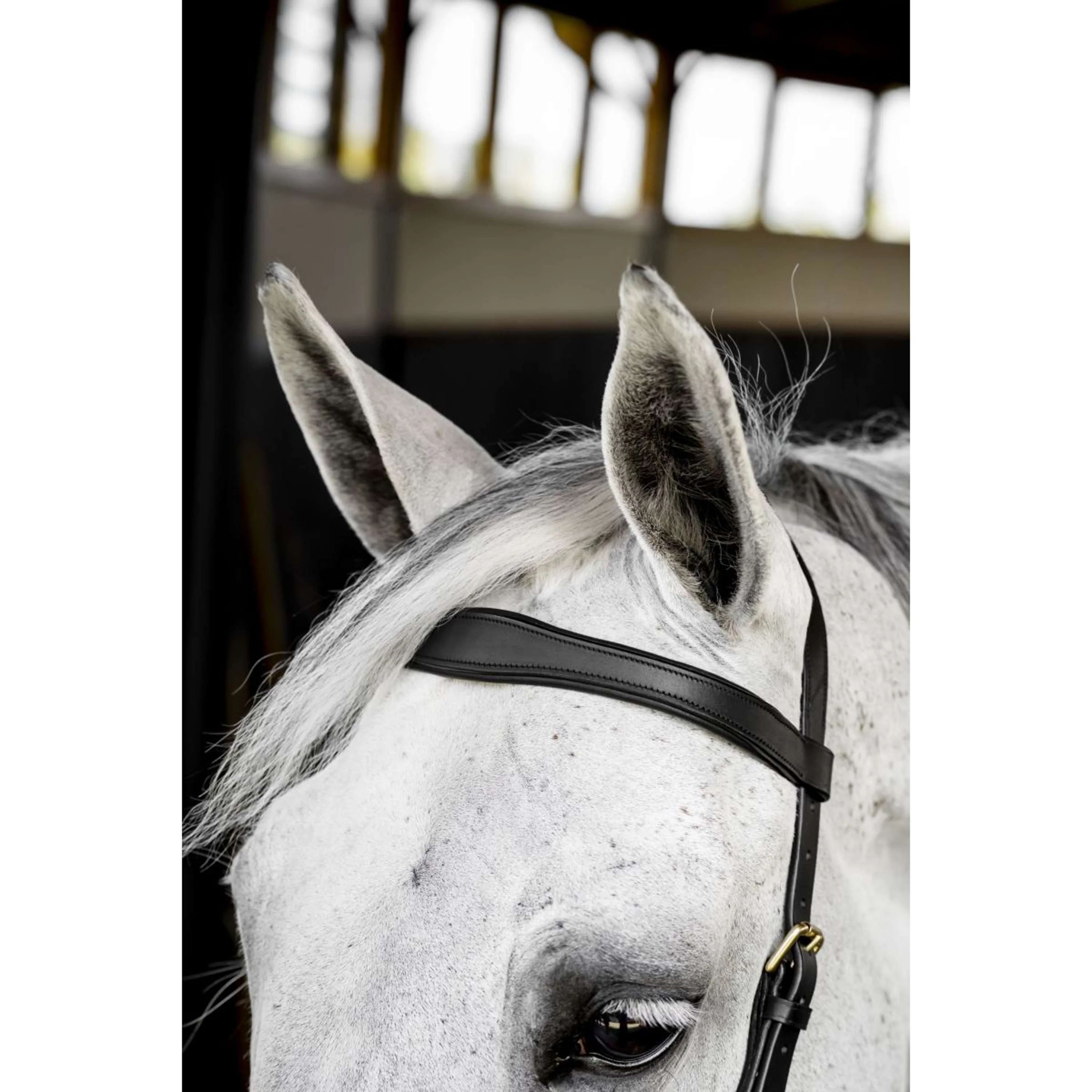 Horseware Micklem Multi Bridle Noir - Image 10