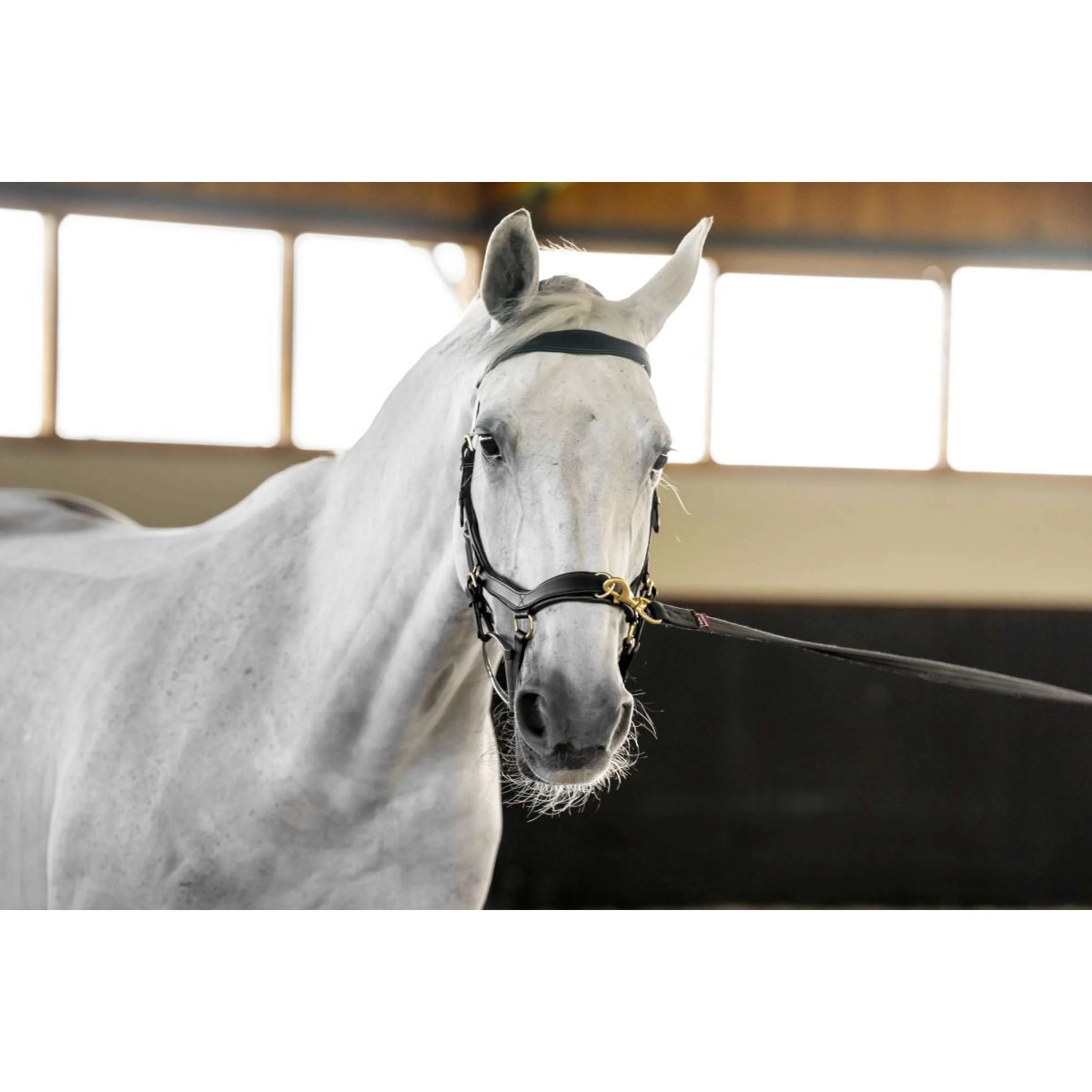 Horseware Micklem Multi Bridle Noir - Image 11