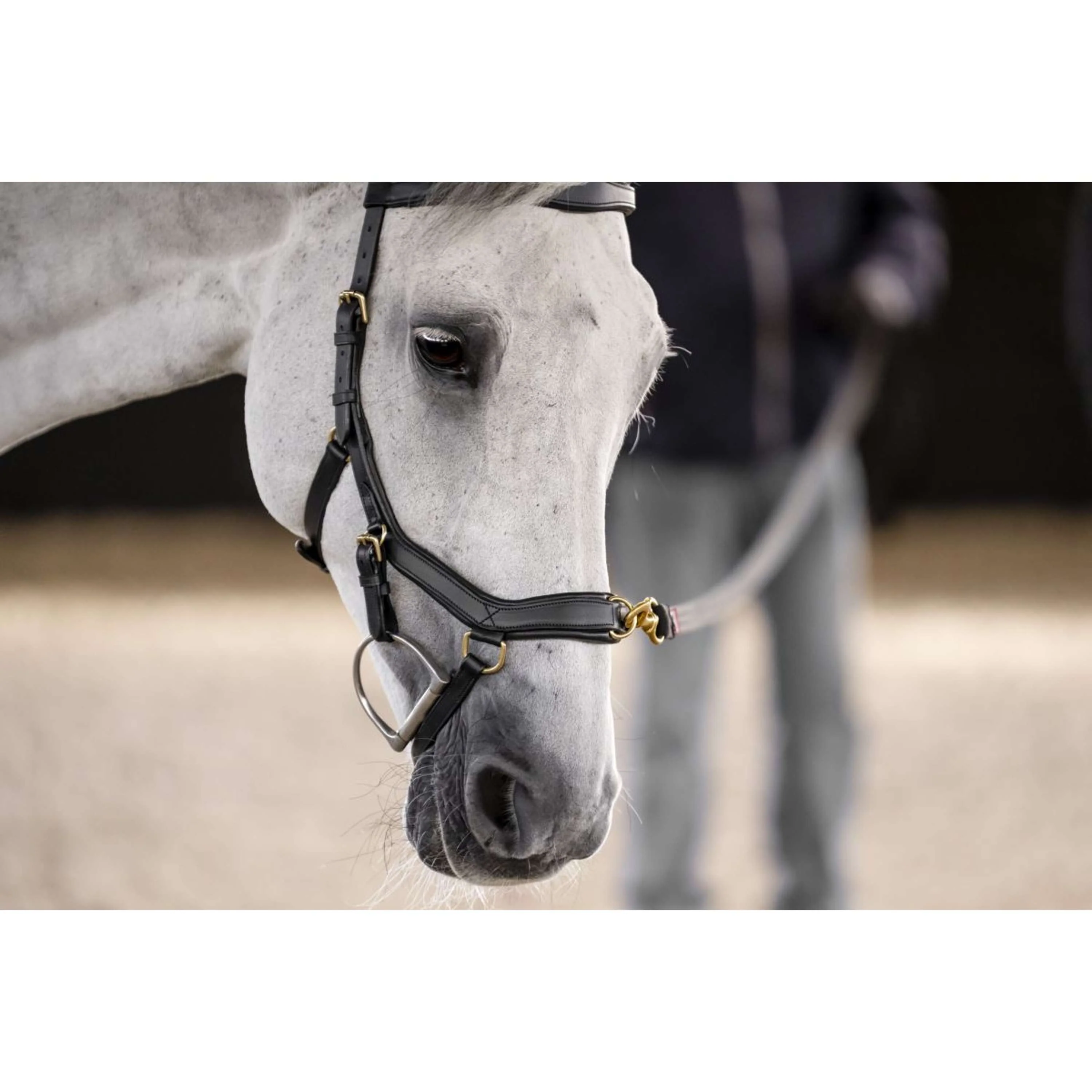 Horseware Micklem Multi Bridle Noir - Image 12