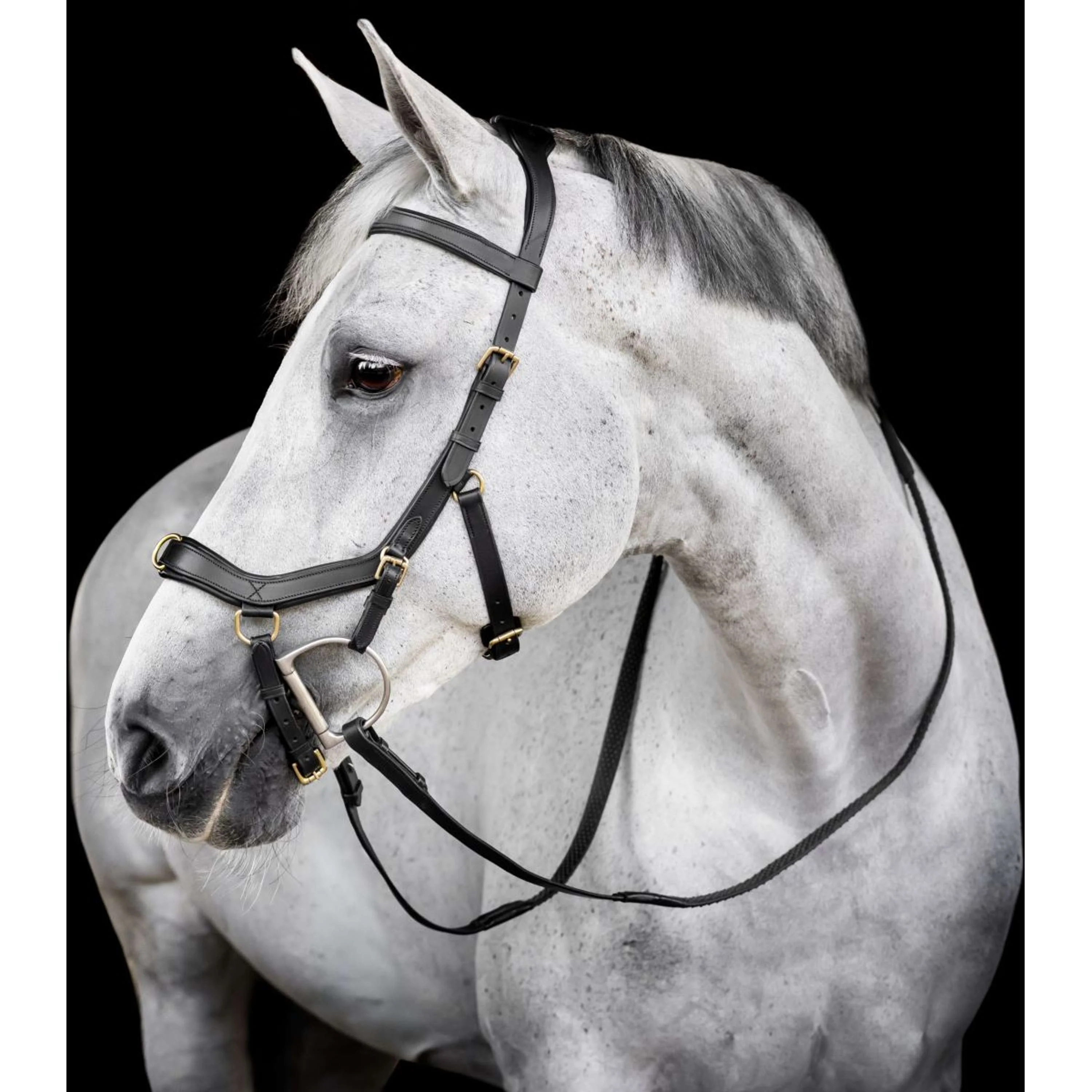 Horseware Micklem Multi Bridle Noir - Image 2