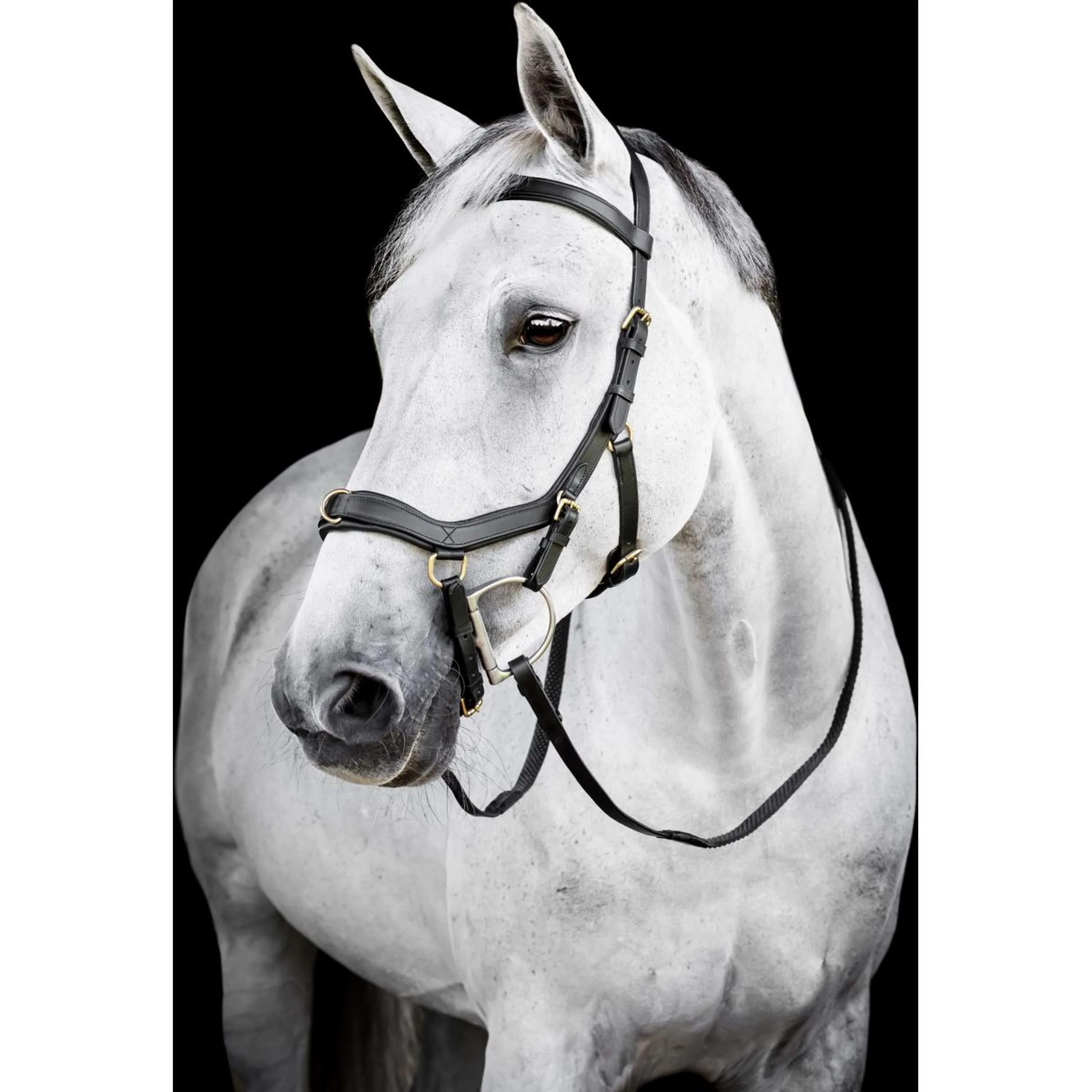 Horseware Micklem Multi Bridle Noir - Image 24