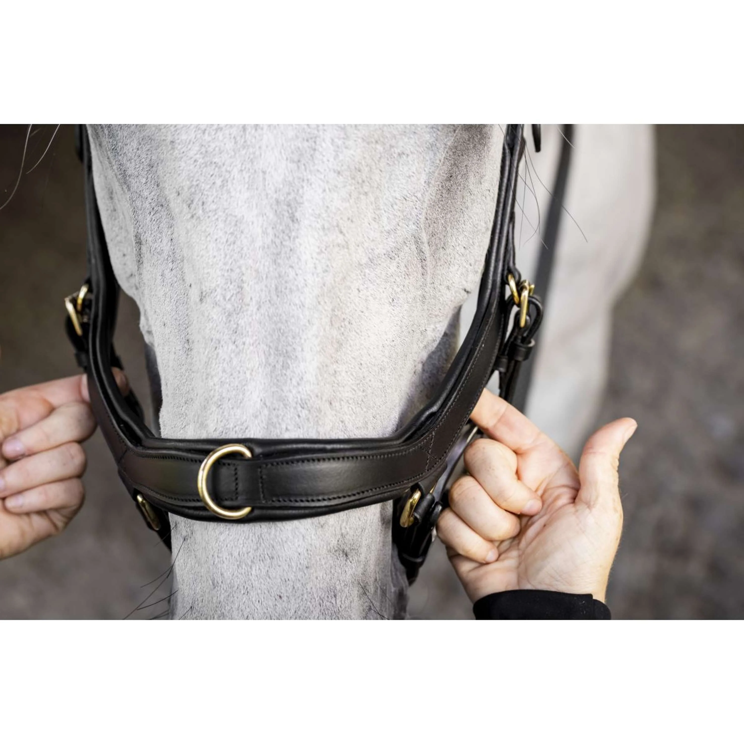 Horseware Micklem Multi Bridle Noir - Image 9