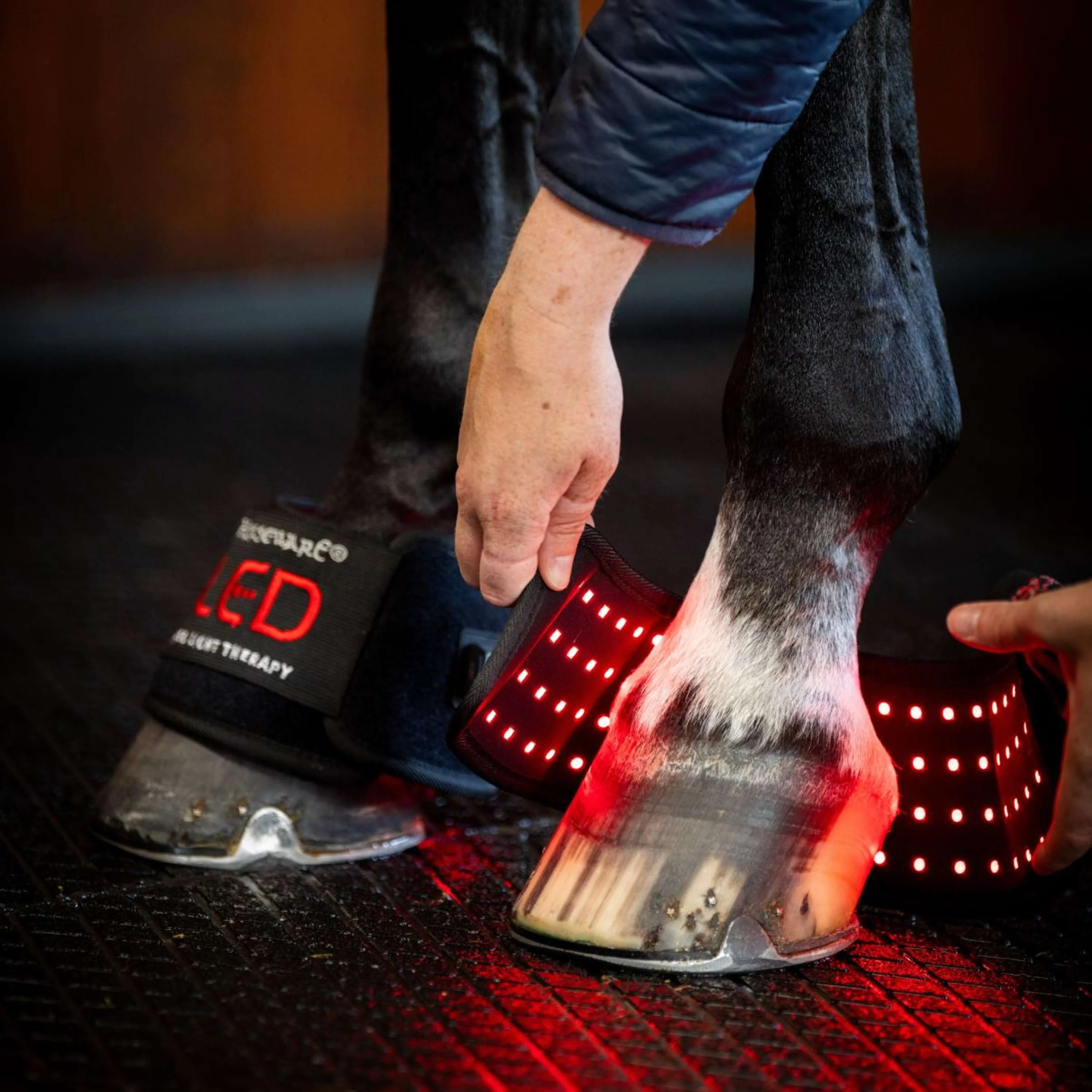 Horseware Mini Wraps LED Red Light Therapy Quad Noir/Noir - Image 2