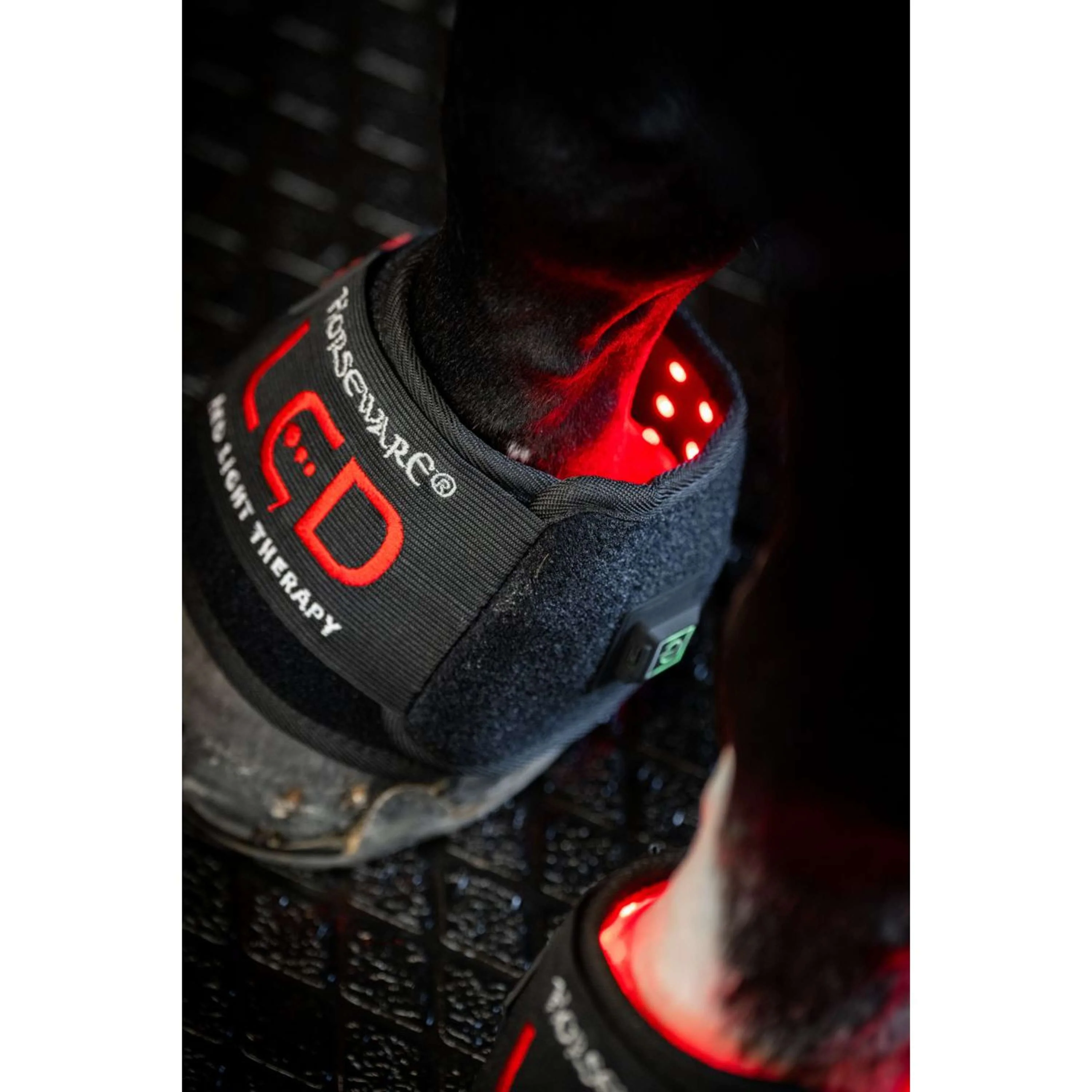 Horseware Mini Wraps LED Red Light Therapy Quad Noir/Noir - Image 7