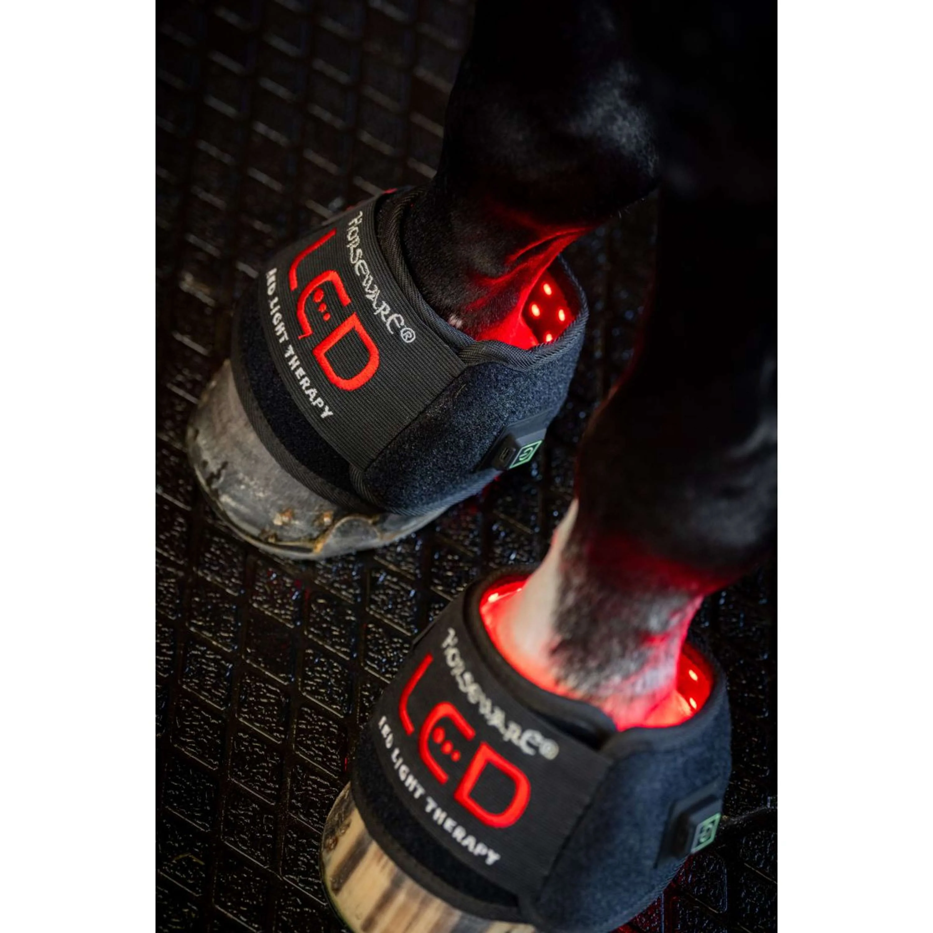 Horseware Mini Wraps LED Red Light Therapy Quad Noir/Noir - Image 8