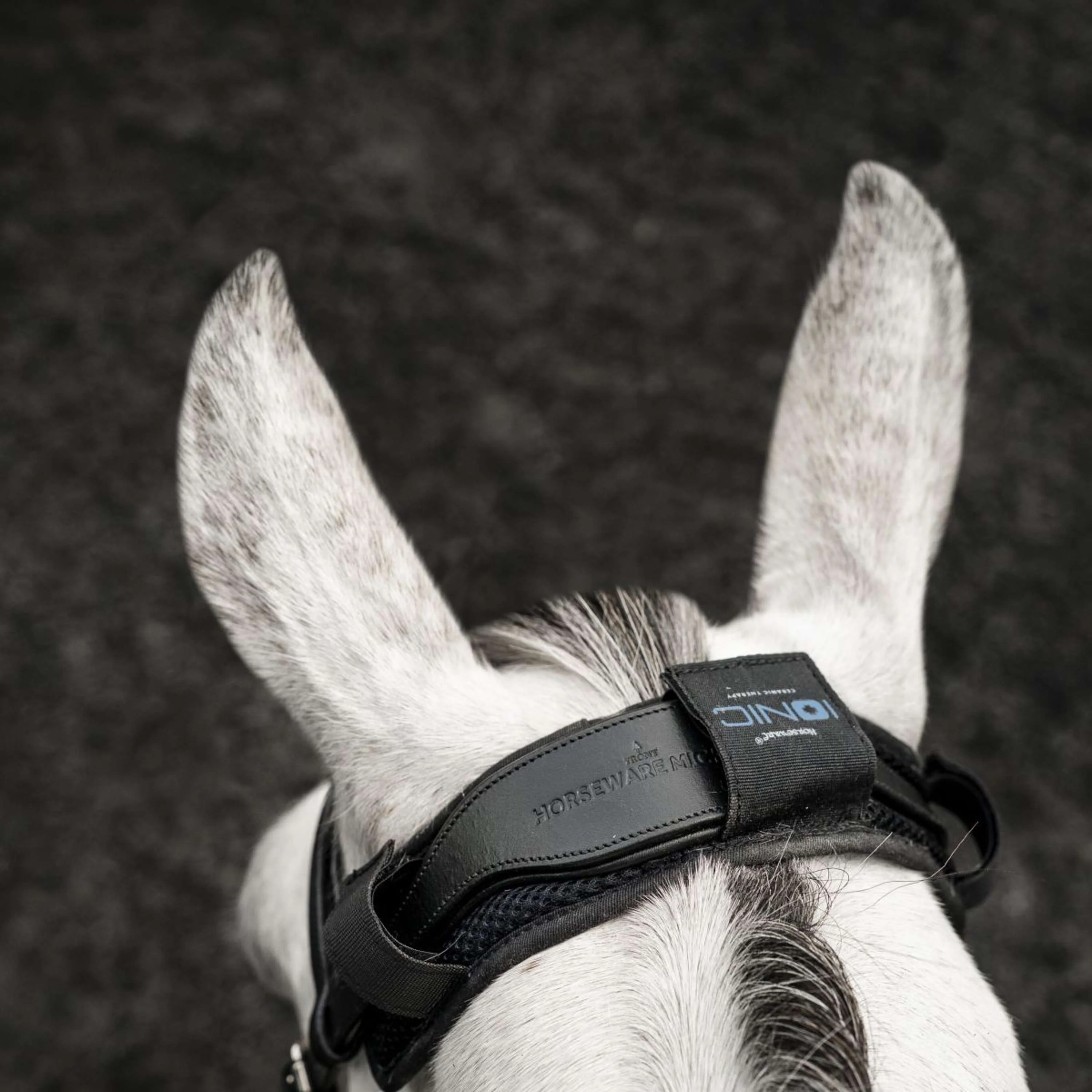 Horseware Protection de Têtière Ionic Noir - Image 2