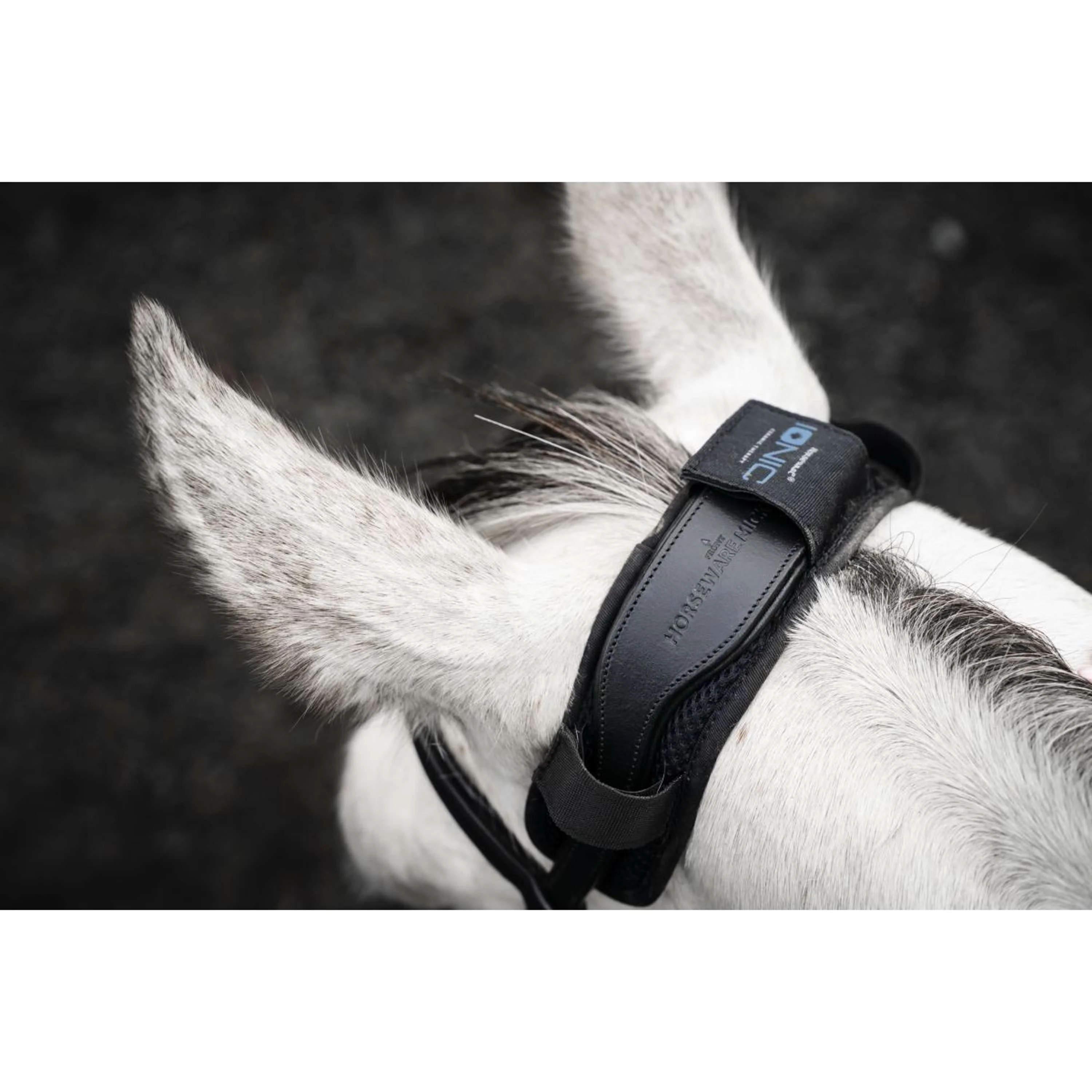 Horseware Protection de Têtière Ionic Noir - Image 3