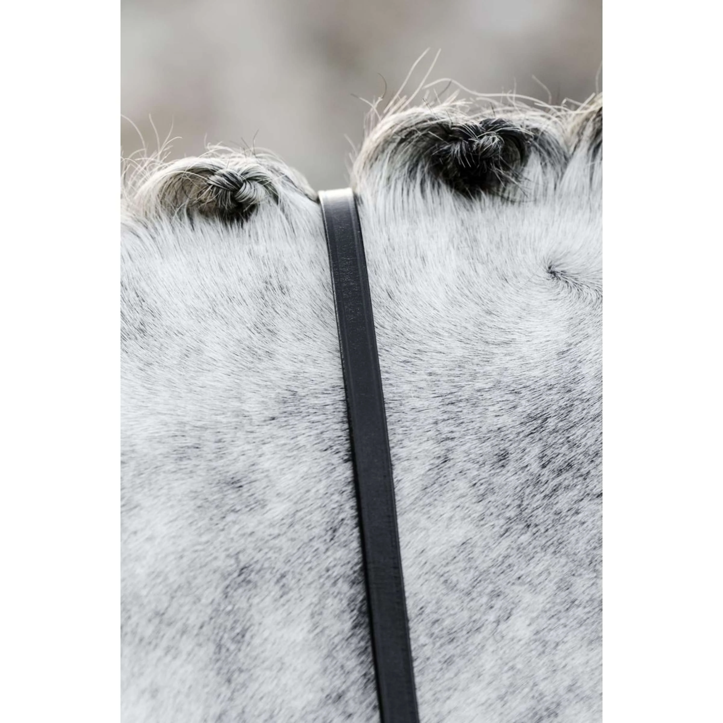 Horseware Rênes Noir - Image 3