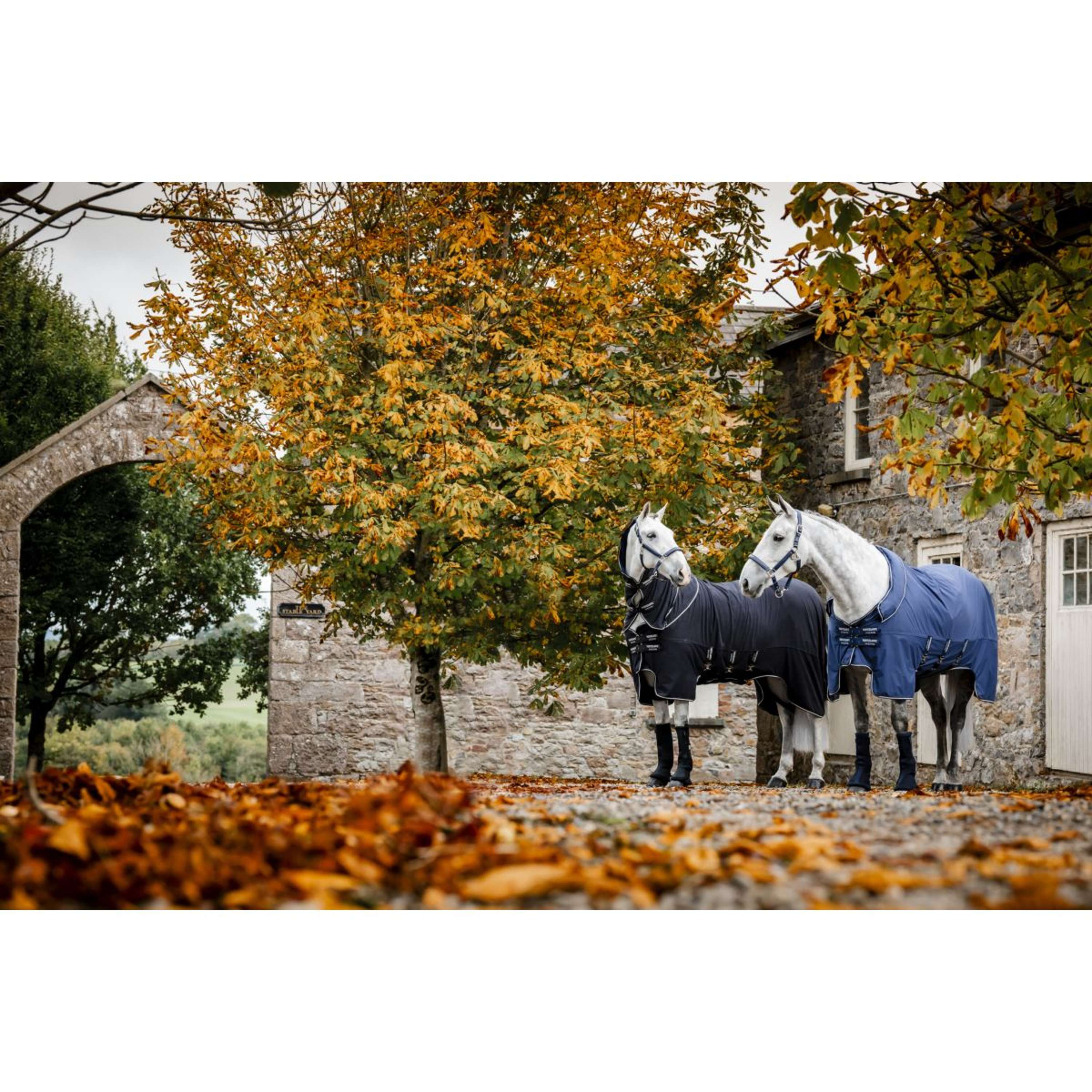 Horseware Show Ready Rug Black/Black/Silver - Image 18
