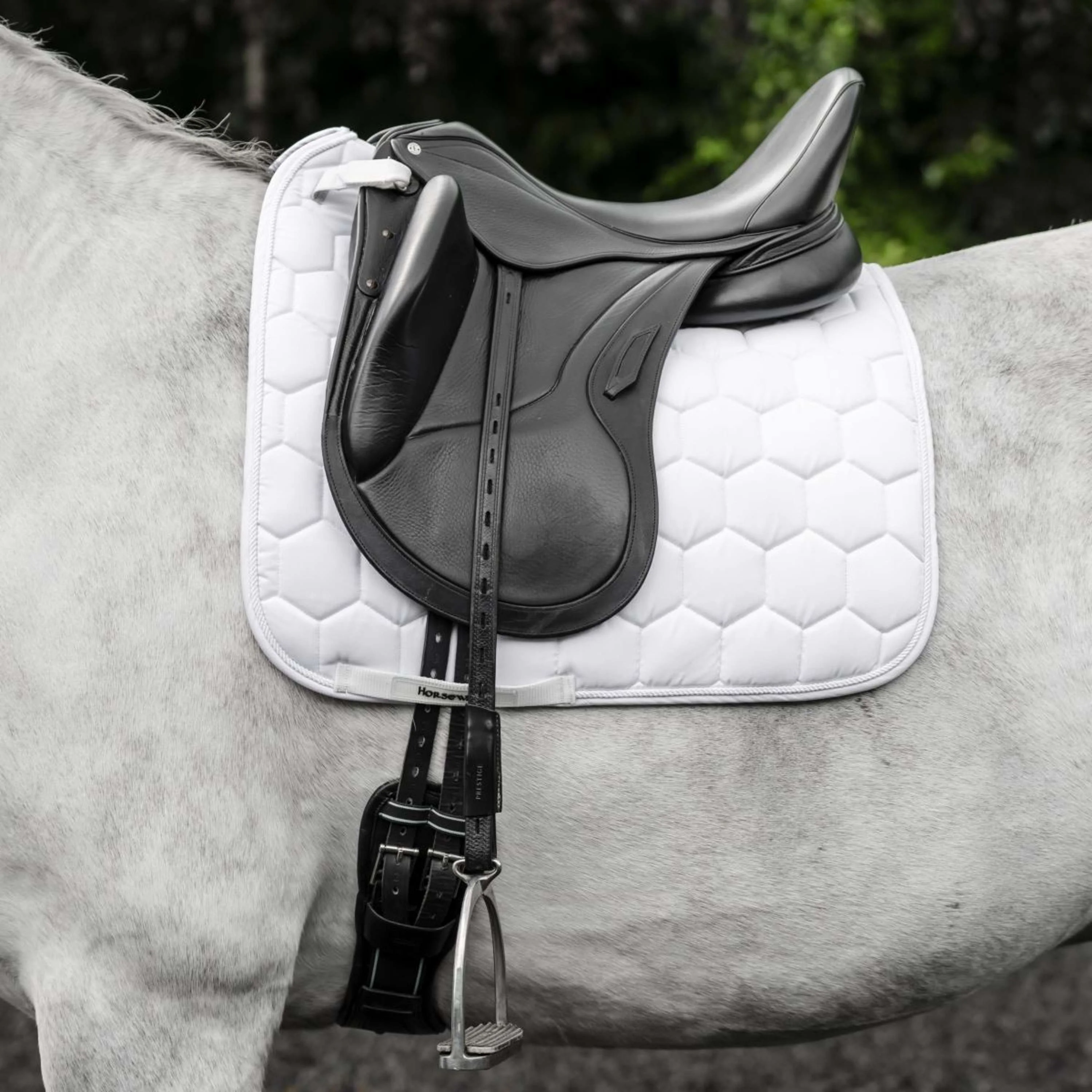 Horseware Tapis de Selle Ionic Dressage Blanc - Image 2