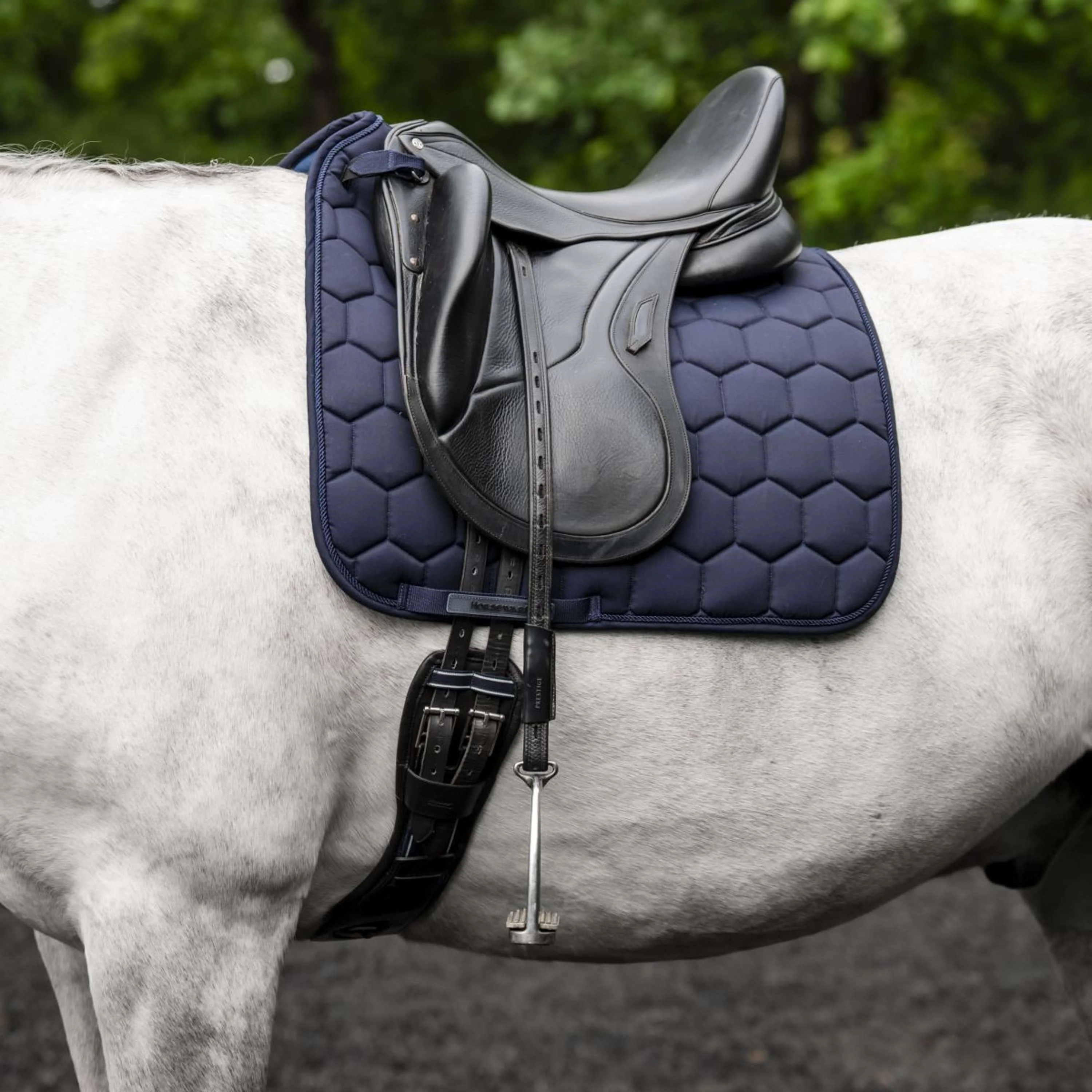 Horseware Tapis de Selle Ionic Dressage Marin - Image 2