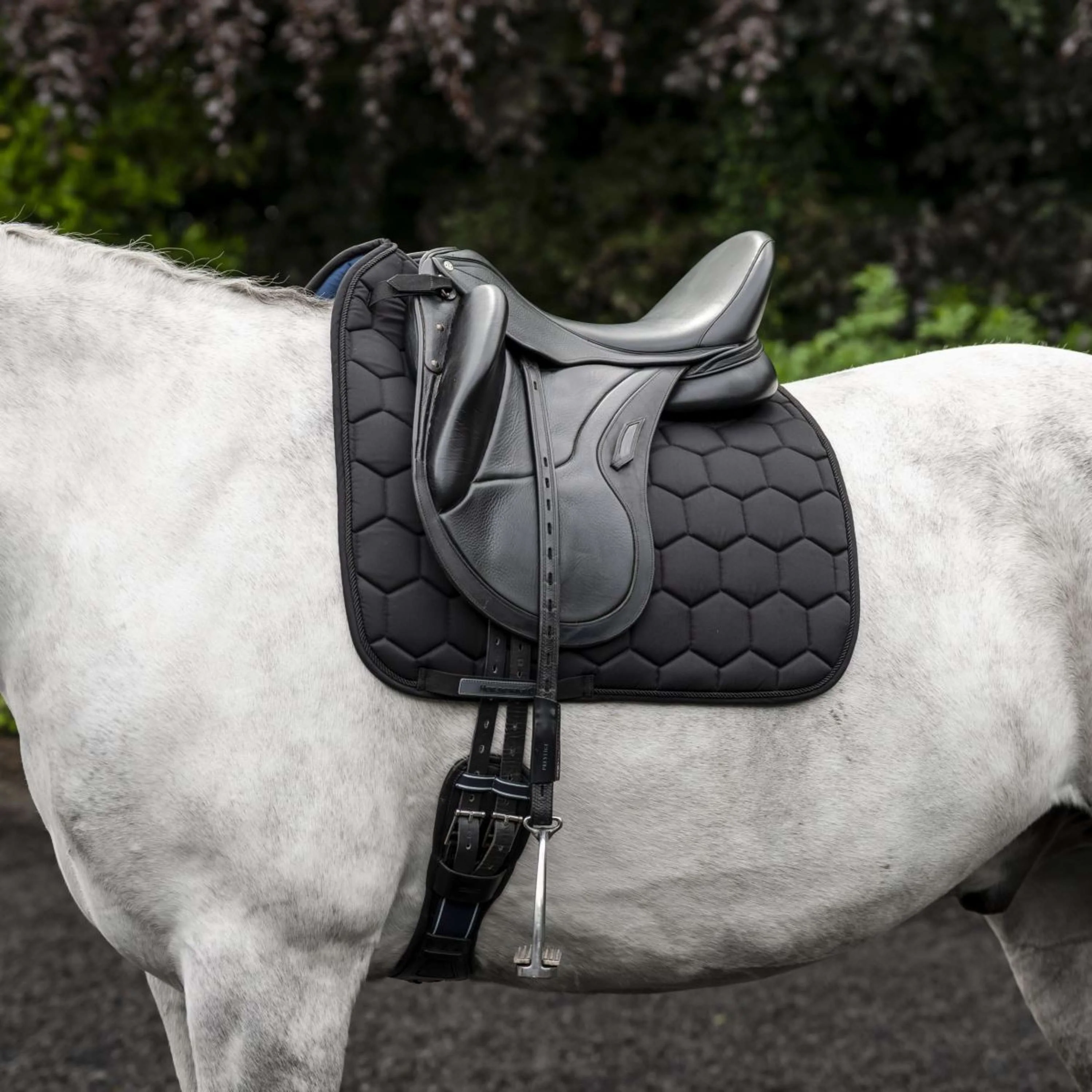 Horseware Tapis de Selle Ionic Dressage Noir - Image 2
