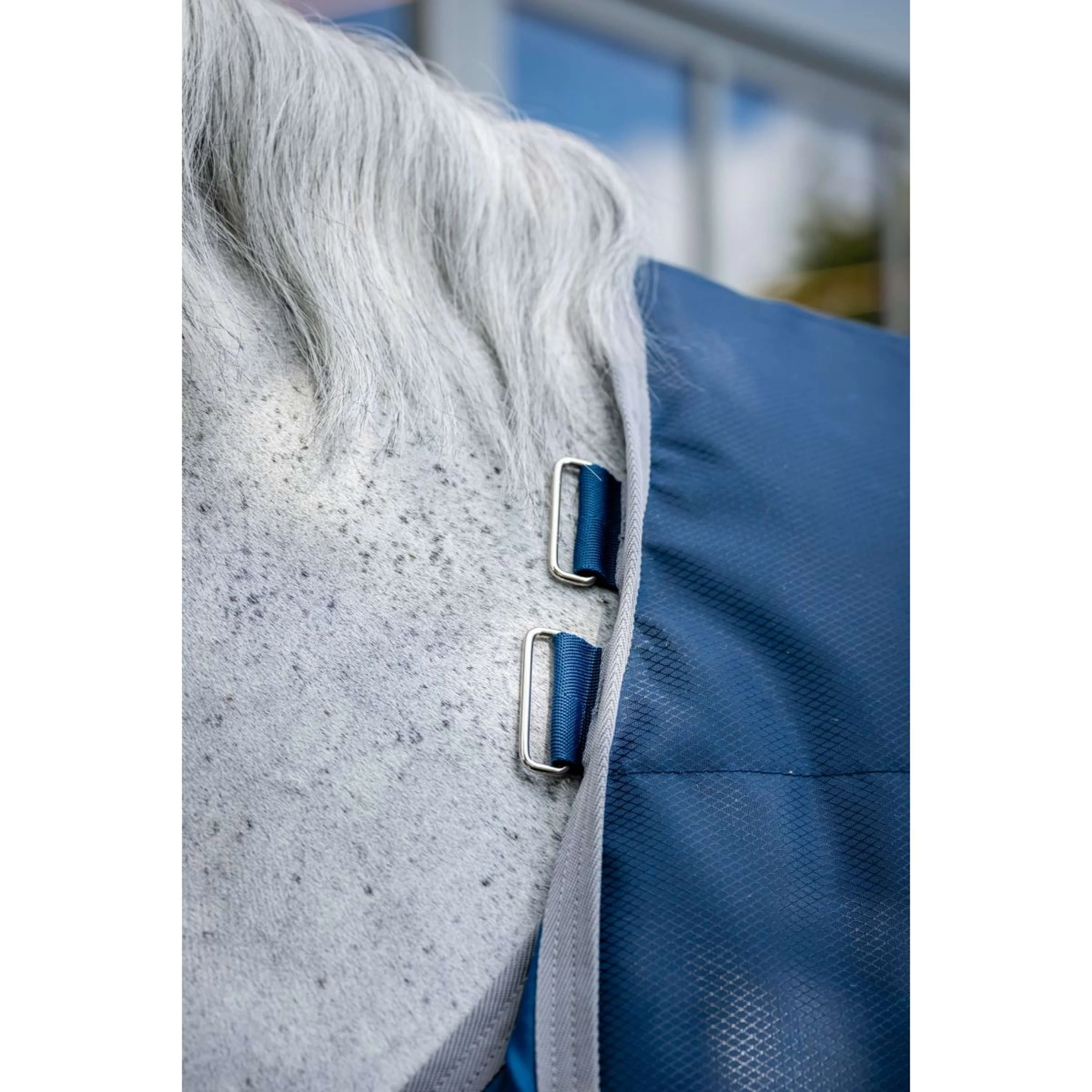 Horseware Therapy Ionic Stable 50g Bleu Impérial/Argent/Marine - Image 6