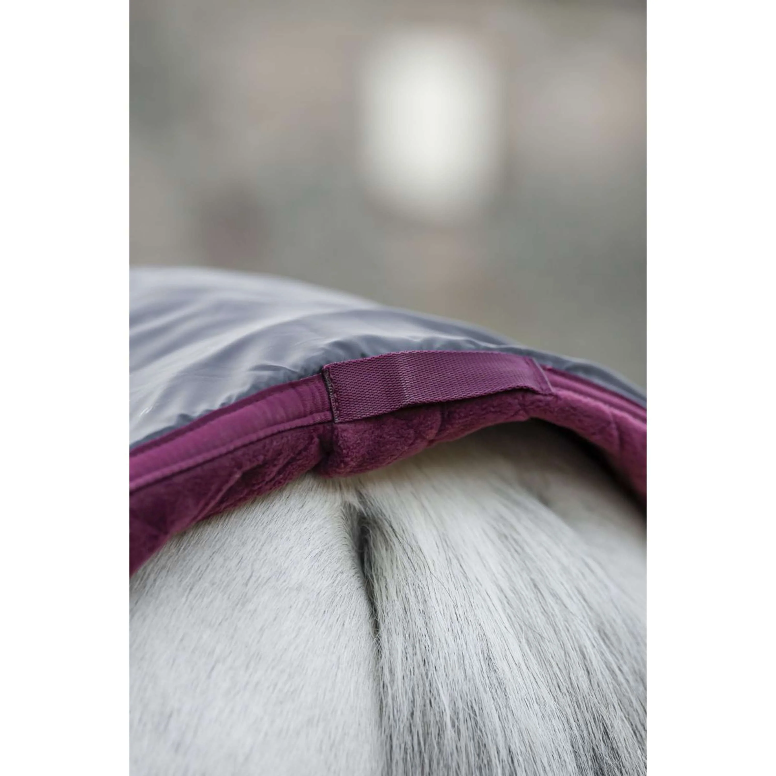 Horseware Travel Cooler Signature Bordeaux - Image 11