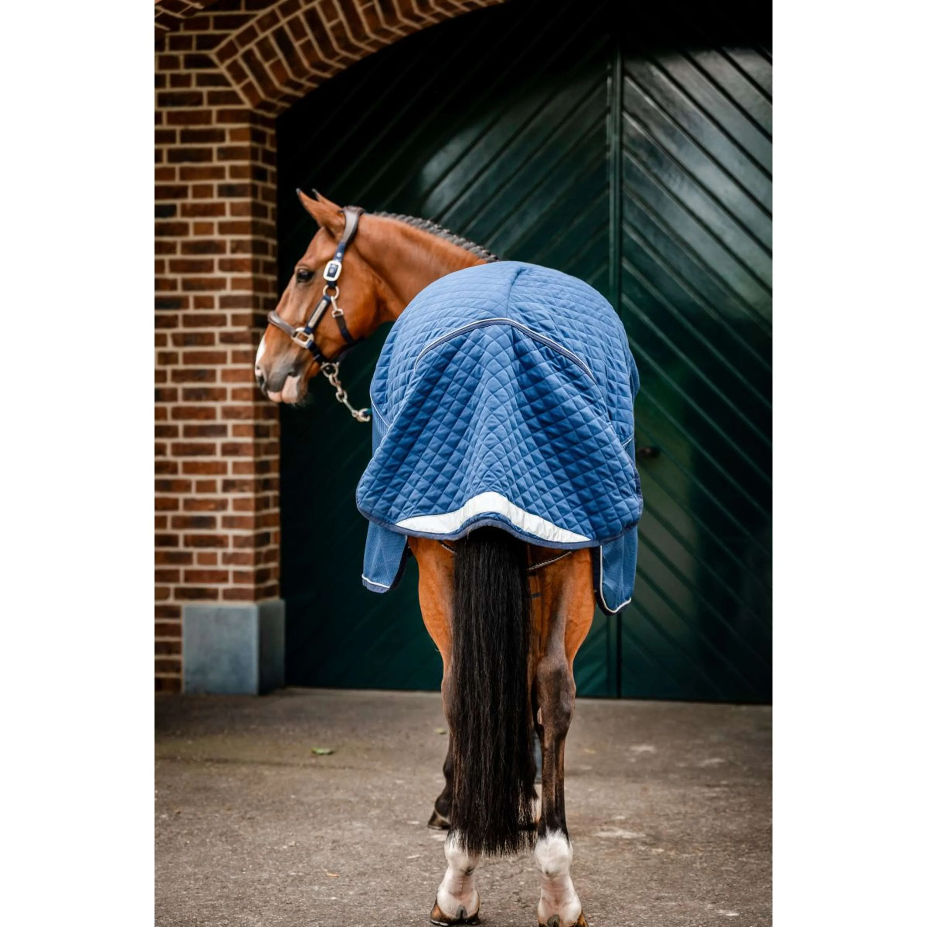 Horseware Travel Cooler Signature Marin - Image 7