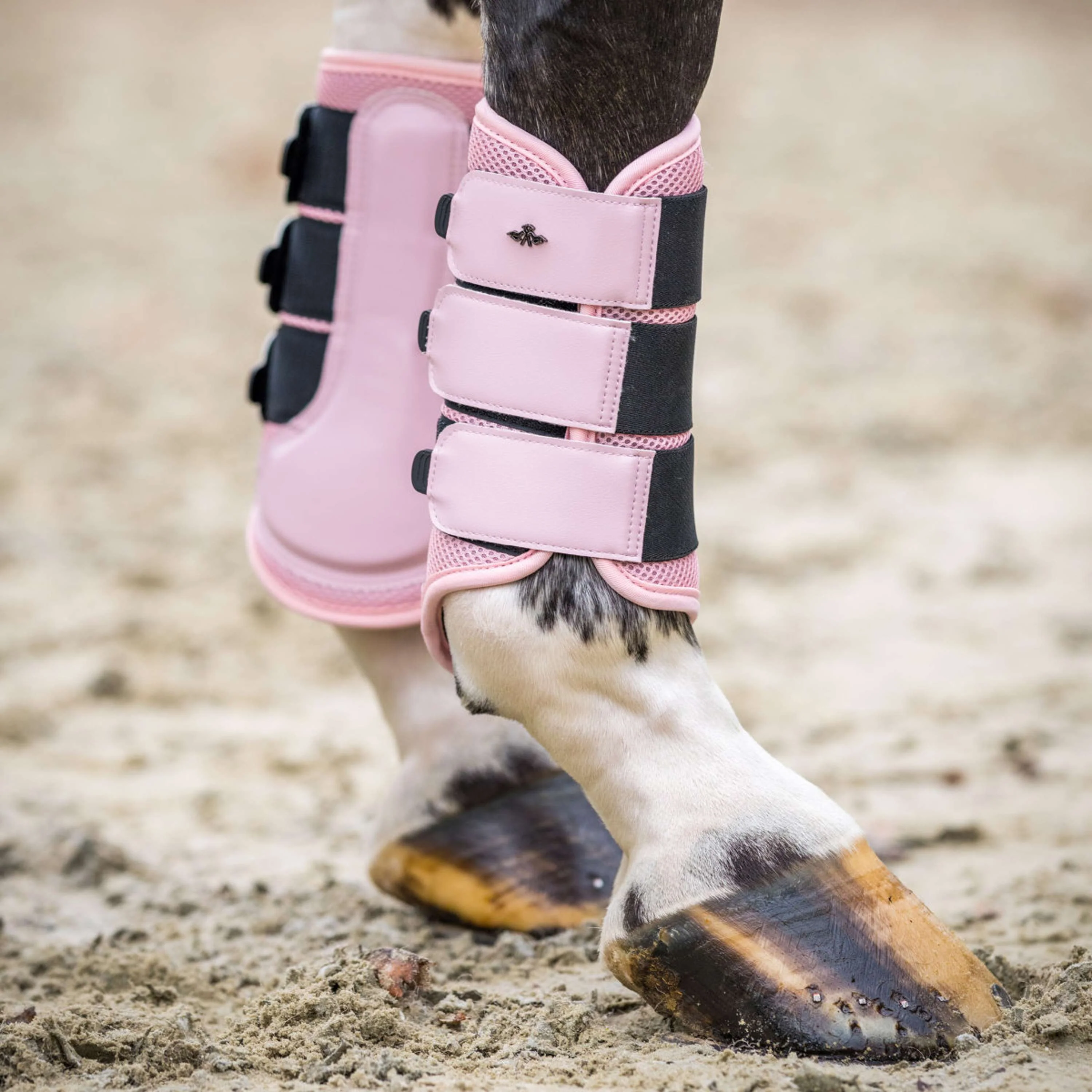 HV Polo Dressage Boots HVPAir Flow Pretty Pink - Image 2