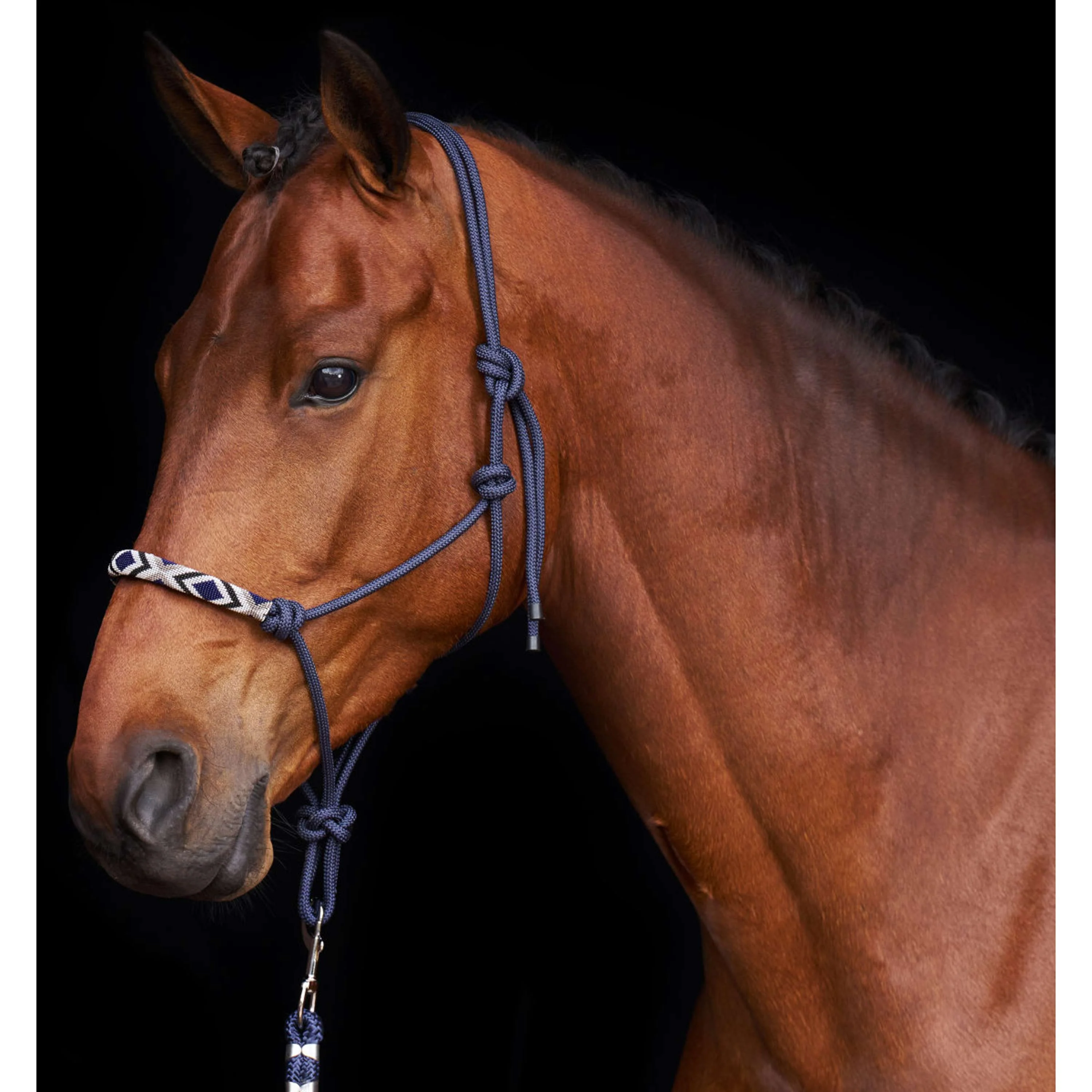 HV Polo Licol en Corde HVPLamu Marin - Image 2