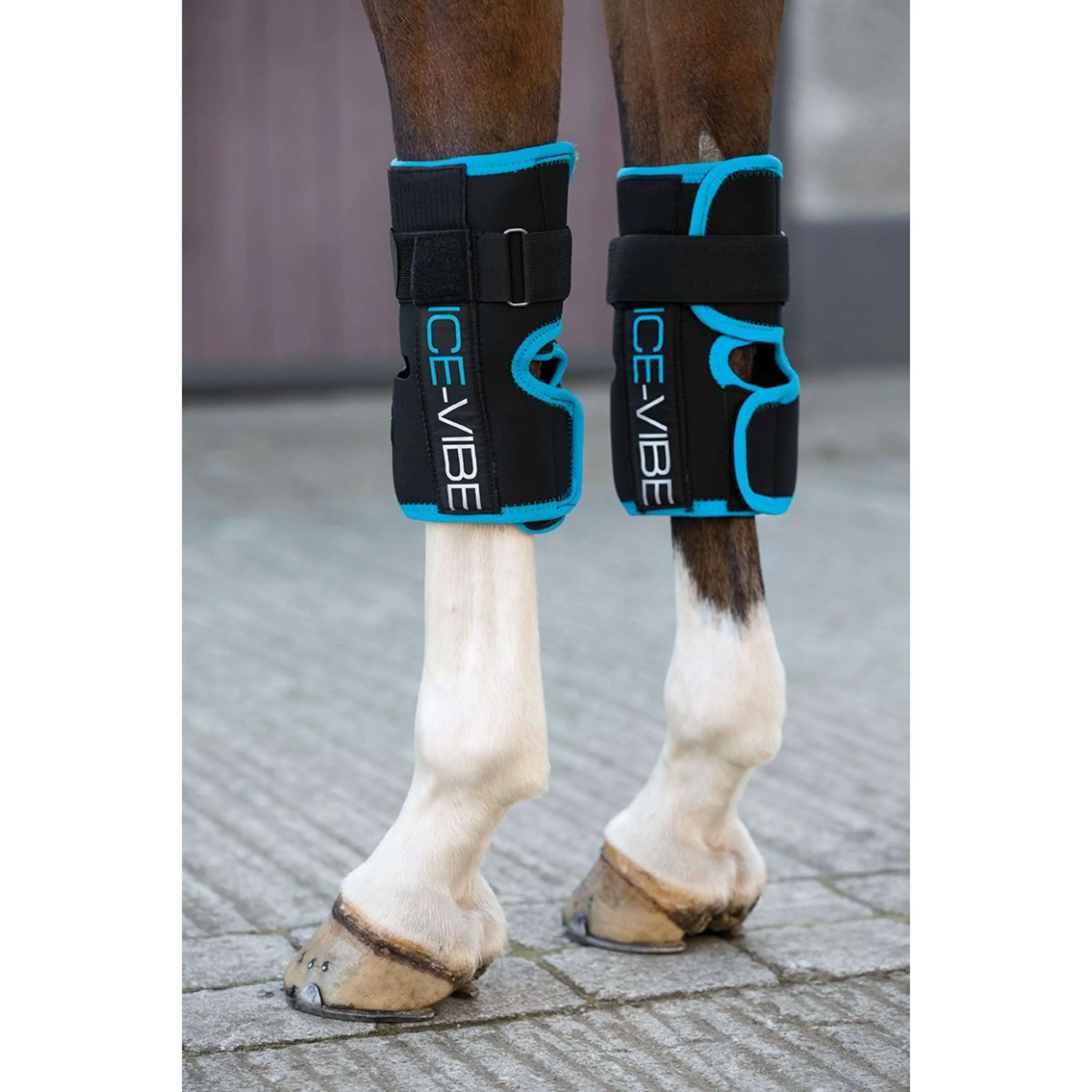 Ice-Vibe Knee Wrap II 2 Pièces Noir/Aqua - Image 4