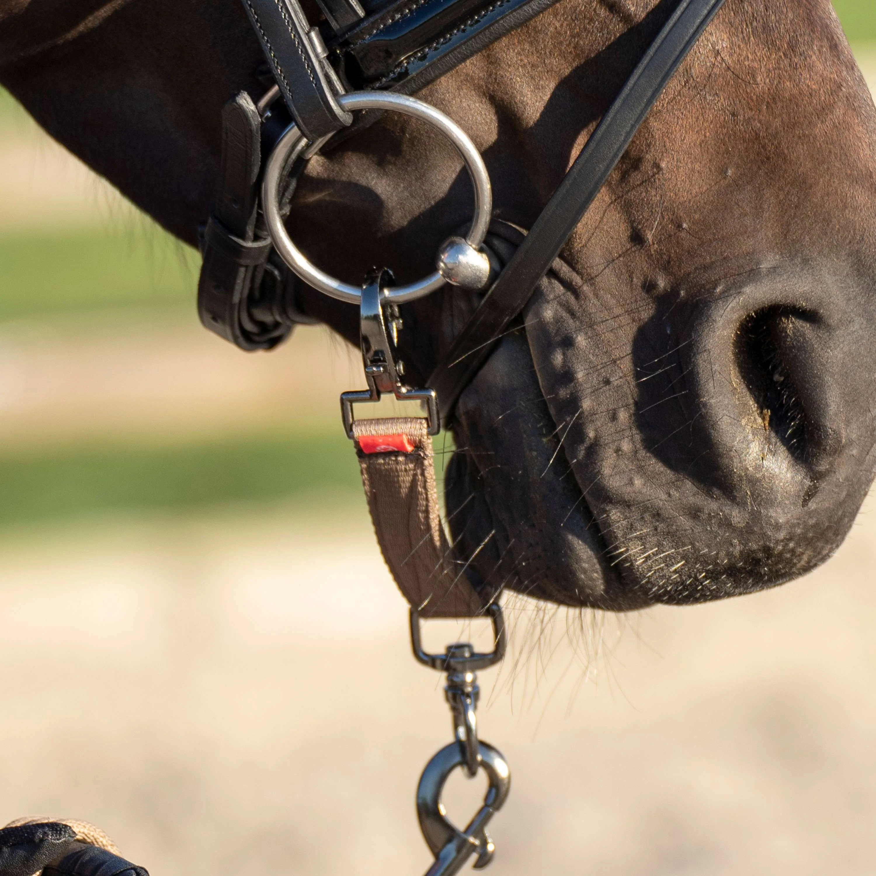 Imperial Riding Alliance de Mors pour la Longe IRH Cappuccino - Image 2