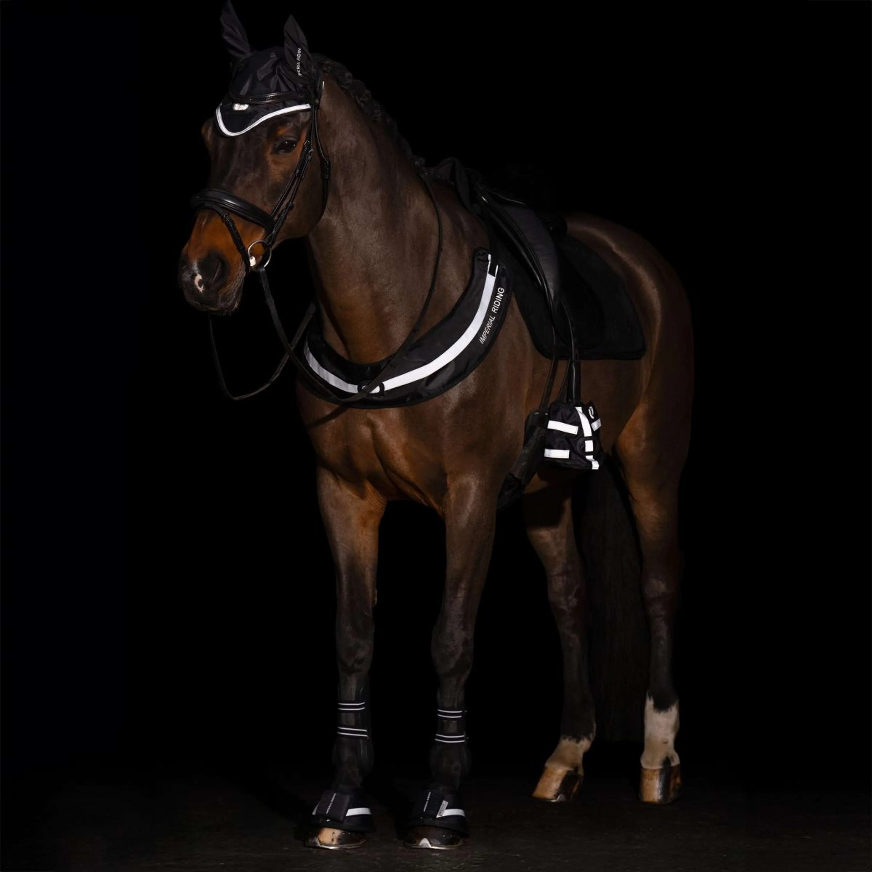 Imperial Riding Bonnet Anti-Mouches IRHLuminous Noir - Image 4