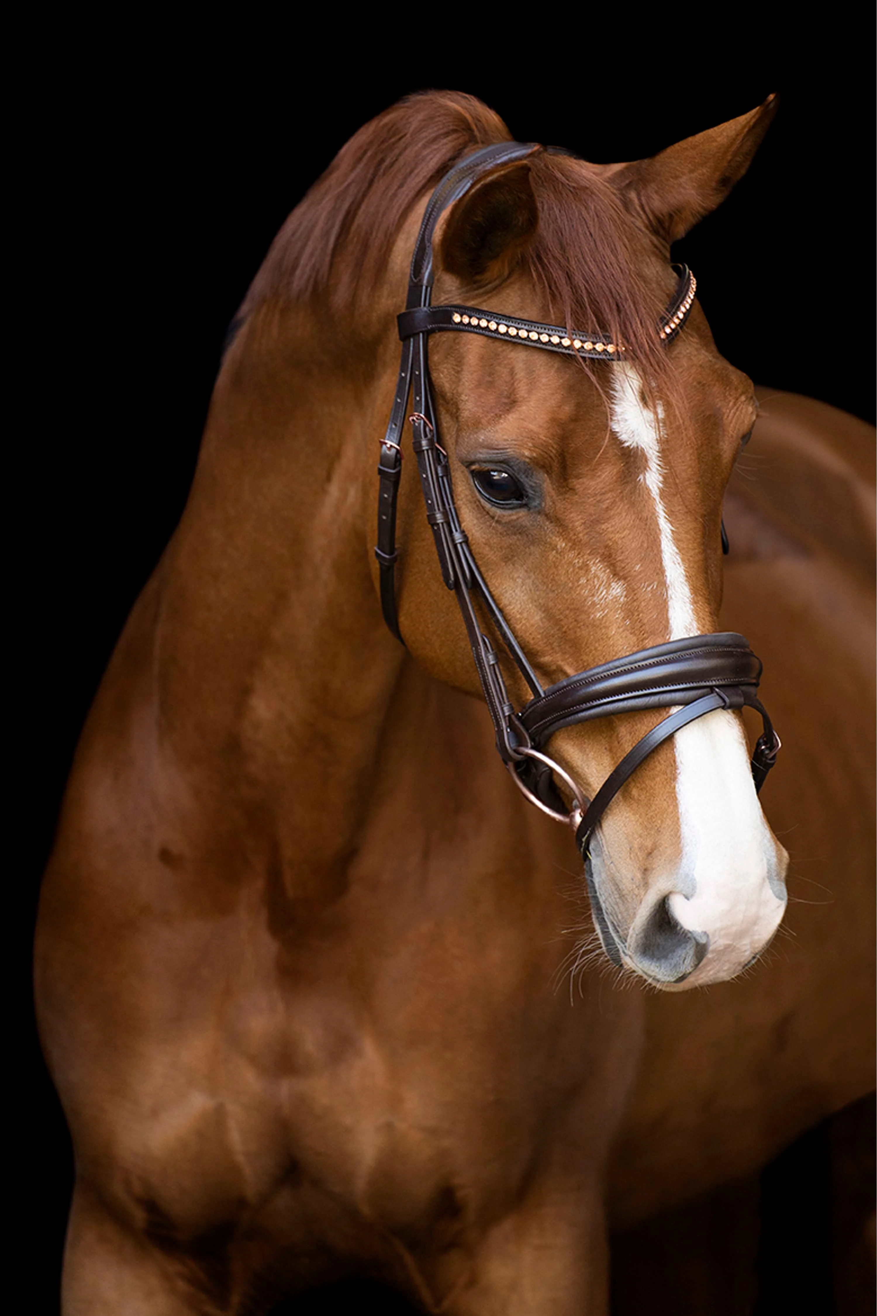 Imperial Riding Bride IRHFria Trens Marron - Image 2