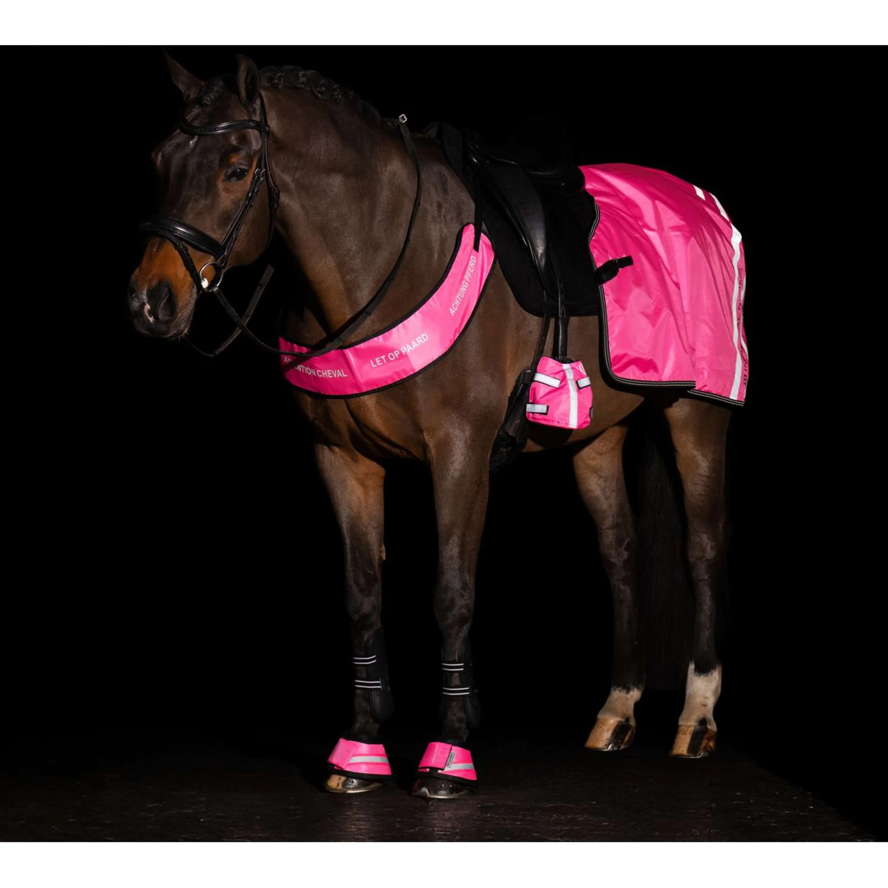 Imperial Riding Cloches d'Obstacles IRHReflective Rose - Image 3