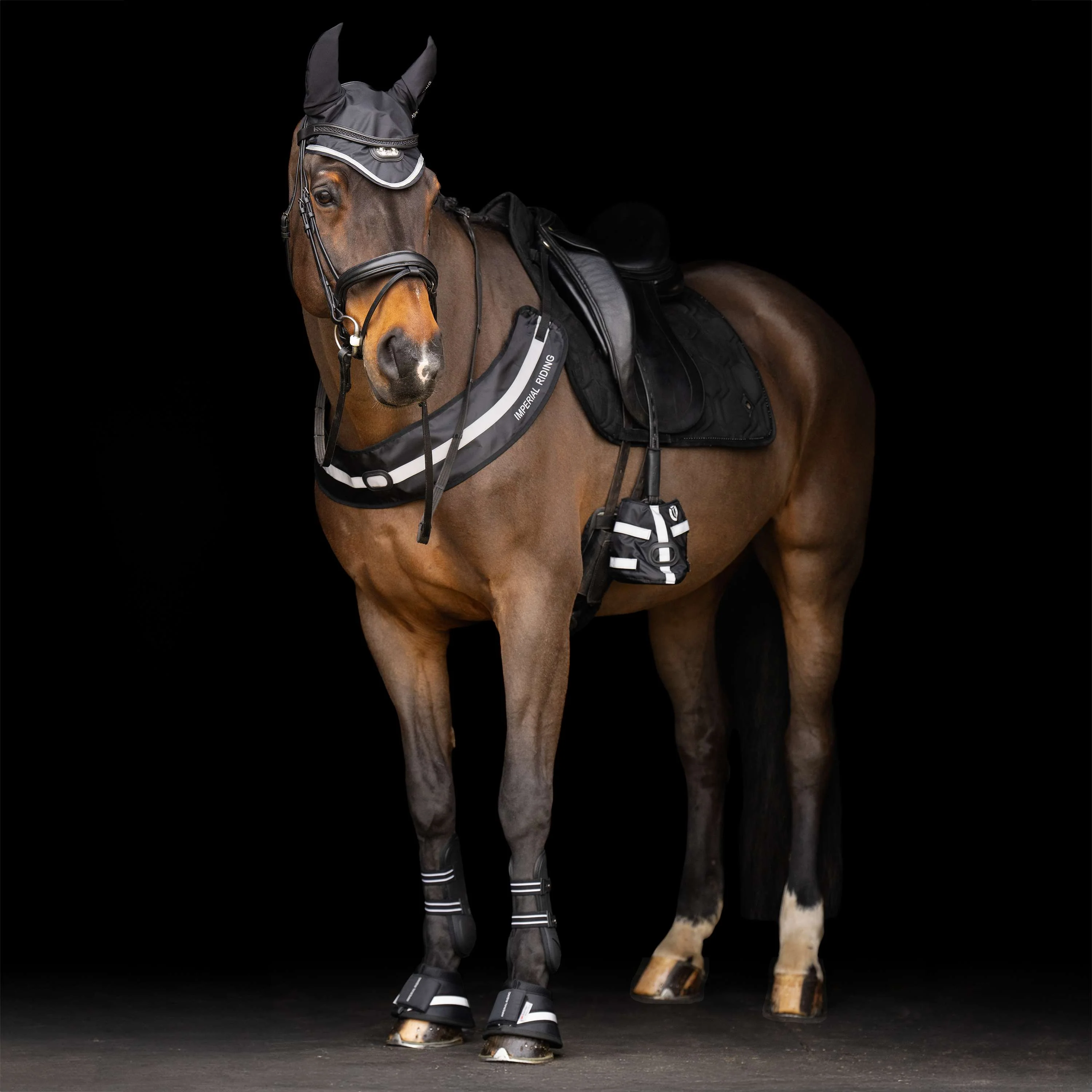 Imperial Riding Collier de Chasse IRHLuminous Noir - Image 4