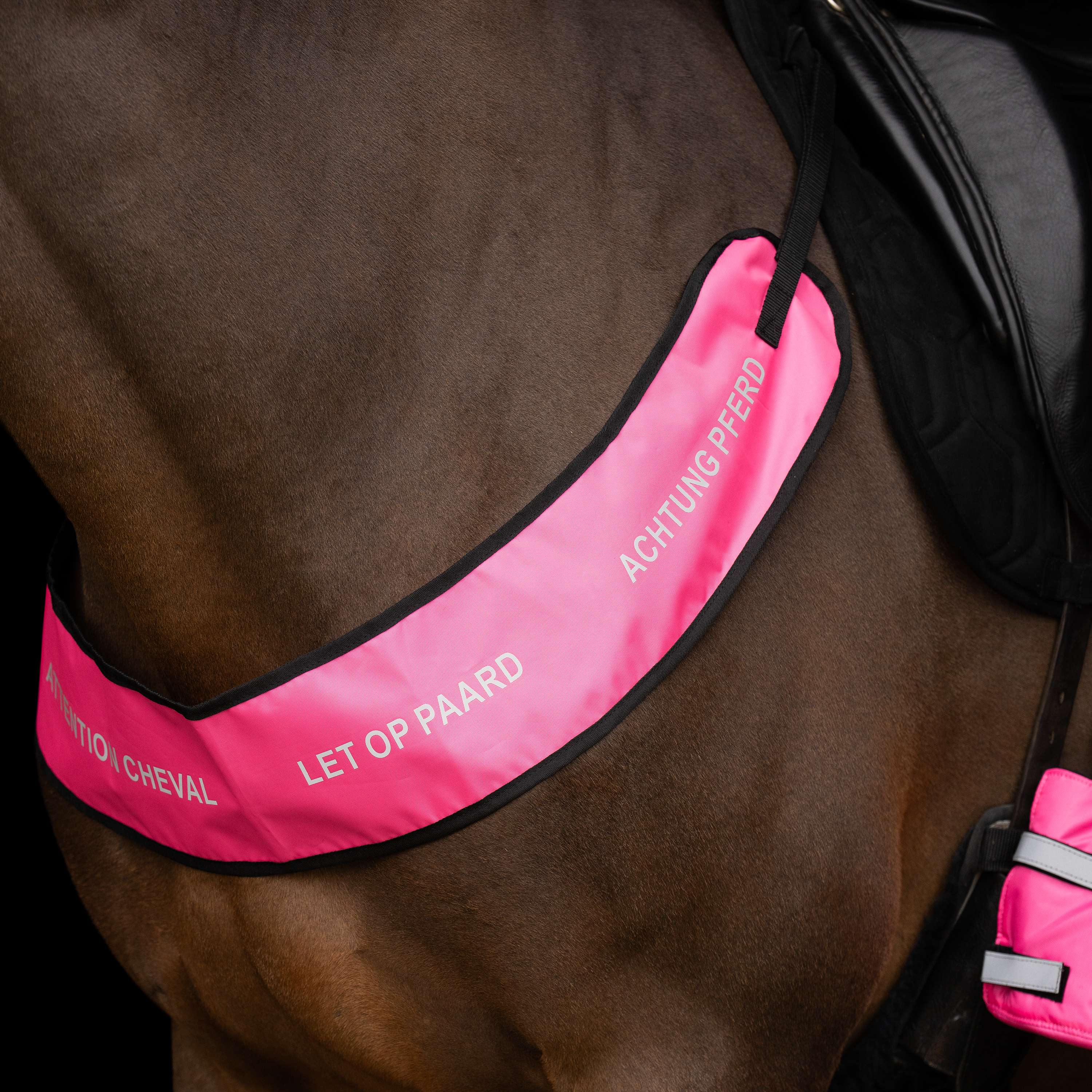 Imperial Riding Collier de Chasse IRHReflective Rose - Image 2