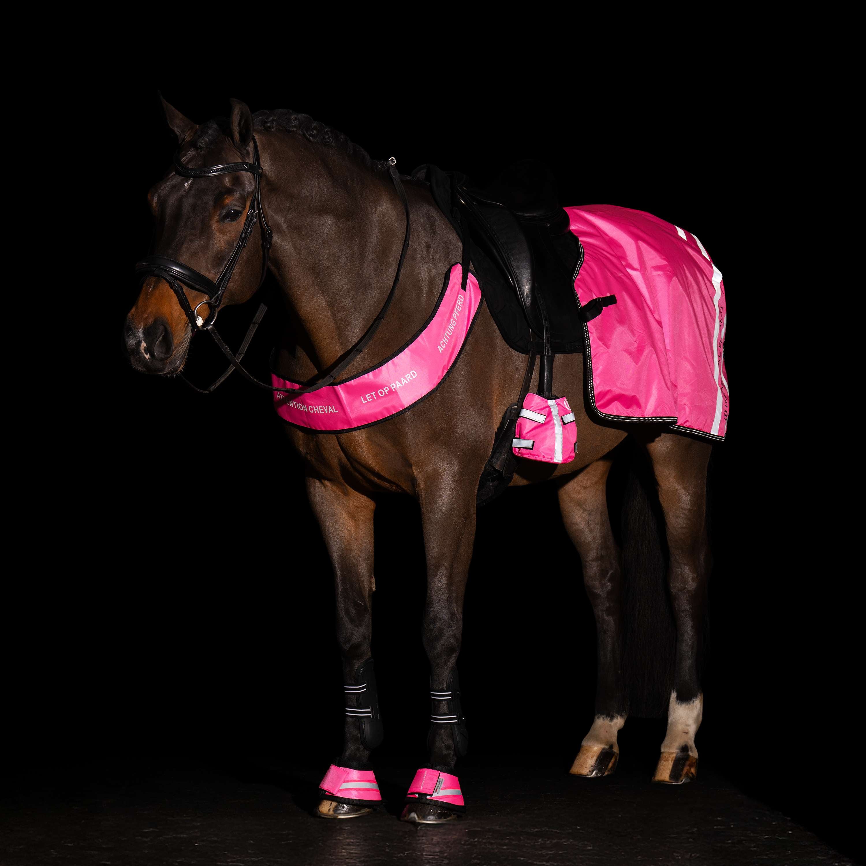 Imperial Riding Collier de Chasse IRHReflective Rose - Image 5