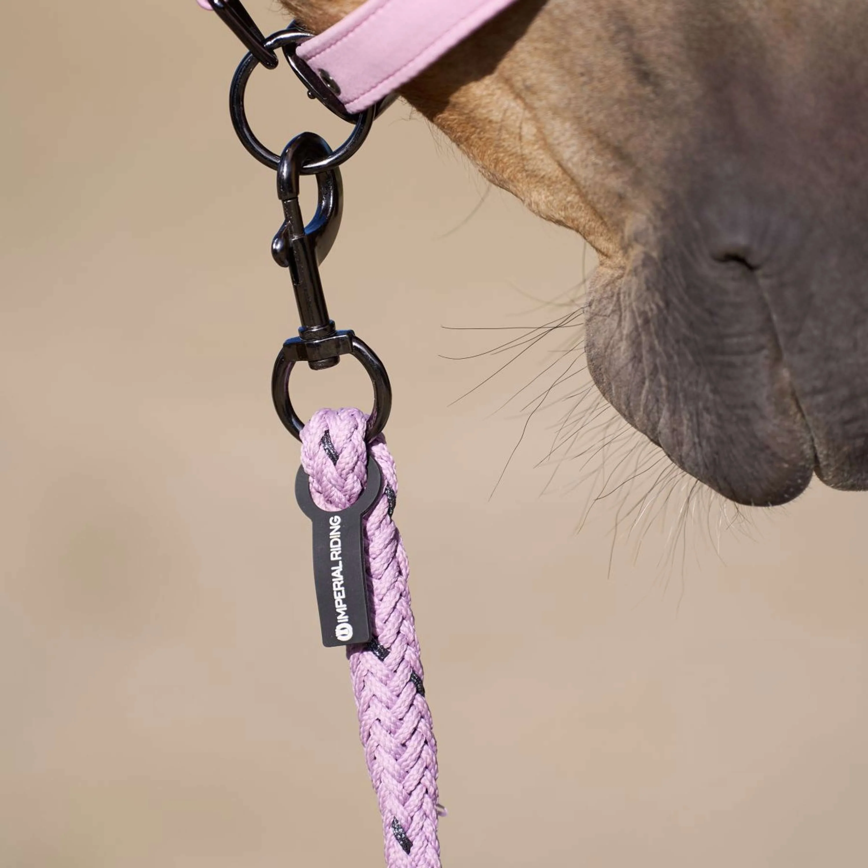 Imperial Riding Corde pour Licol IRHDeluxe avec Mousqueton Ballerina - Image 2