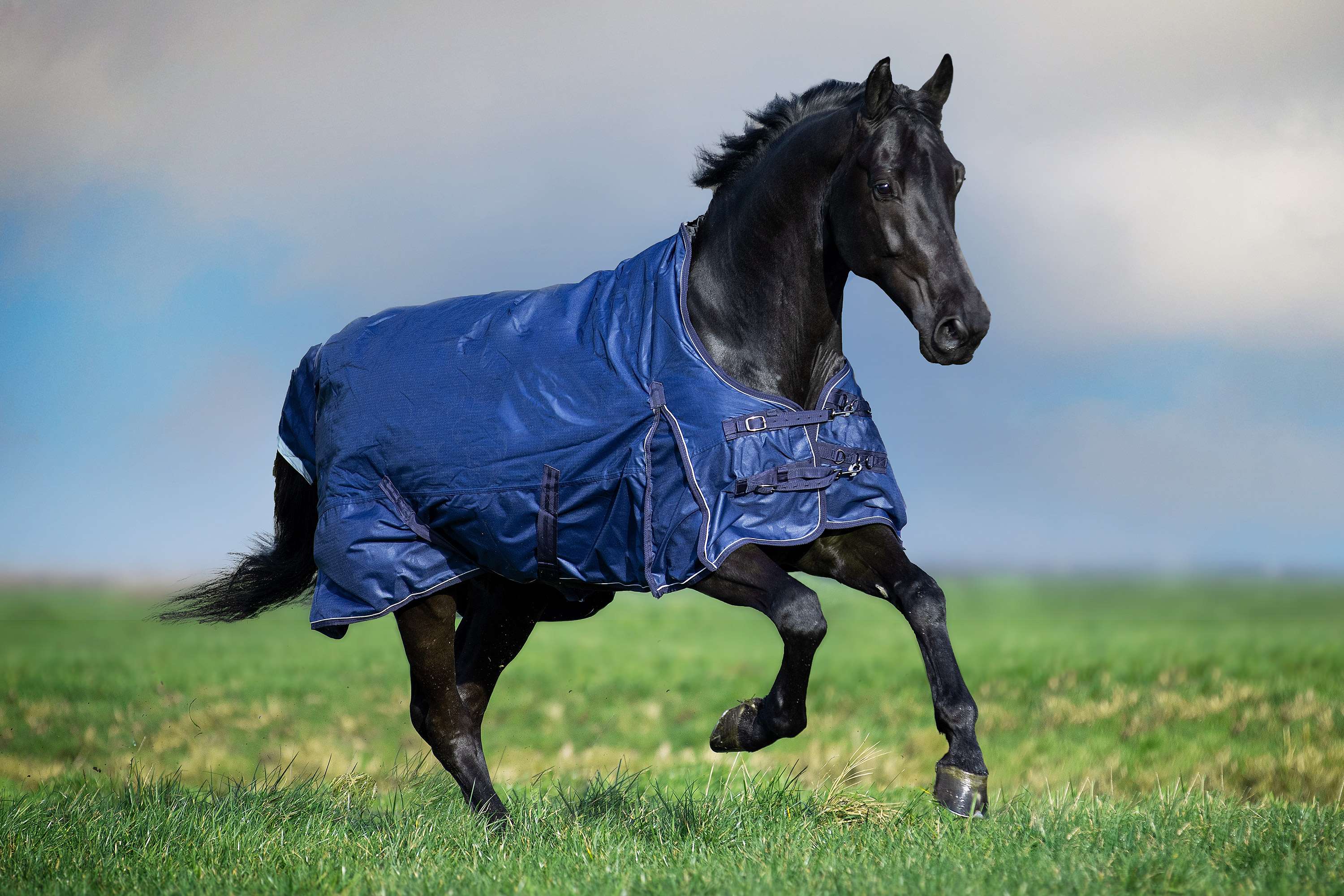 Imperial Riding Couverture d'Extérieur IRHSuper-Dry 200g Marin - Image 4
