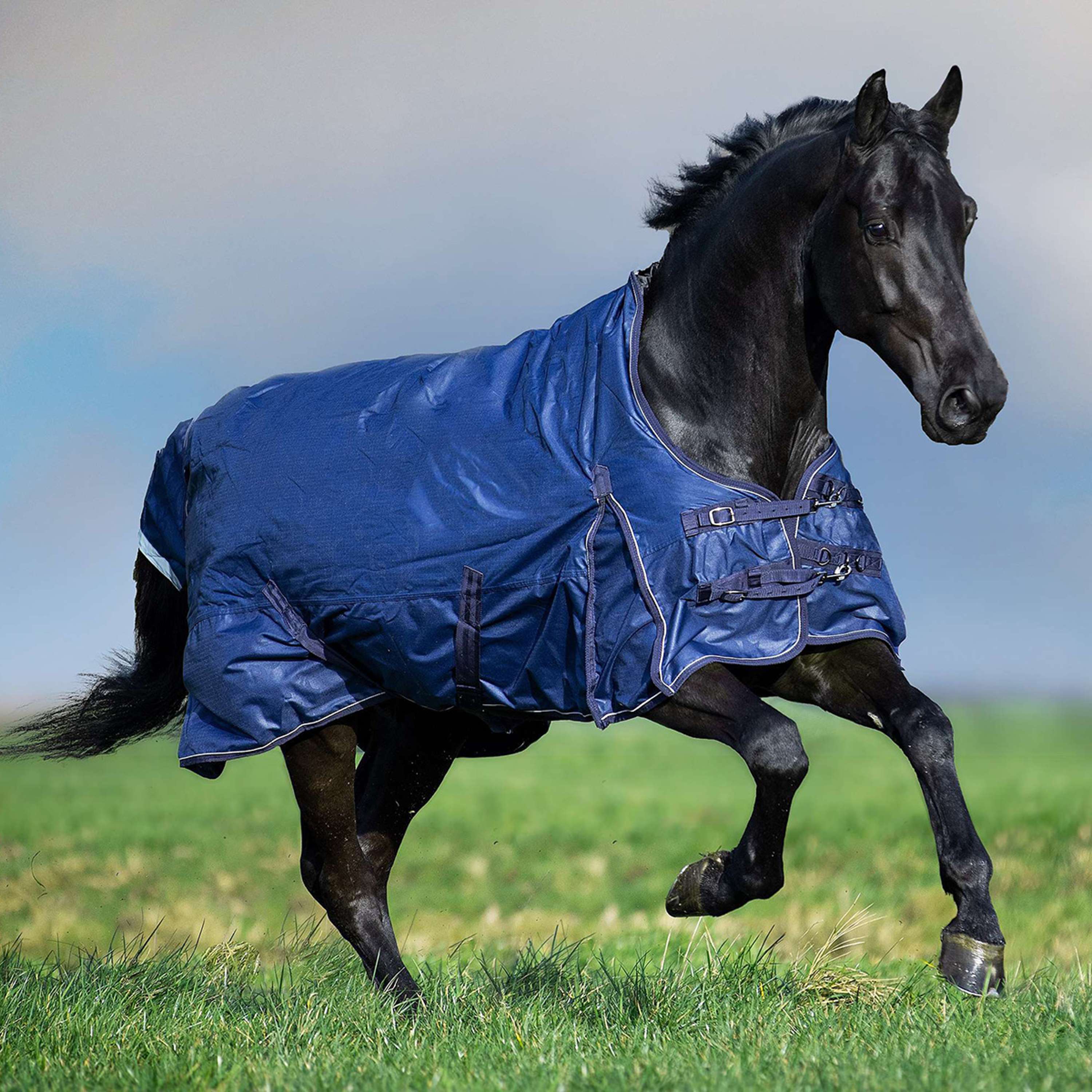 Imperial Riding Couverture Imperméable IRHSuper-Dry 0g Marin - Image 3