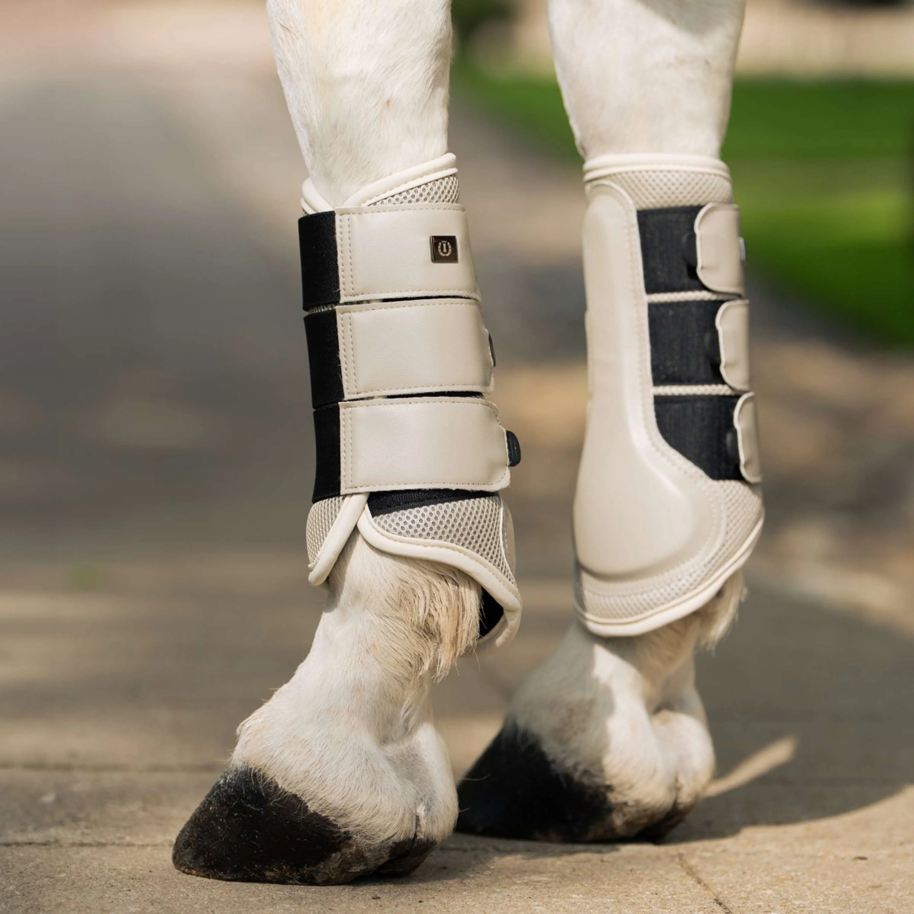 Imperial Riding Dressage Boots IRHCloud Dancer Gris - Image 2