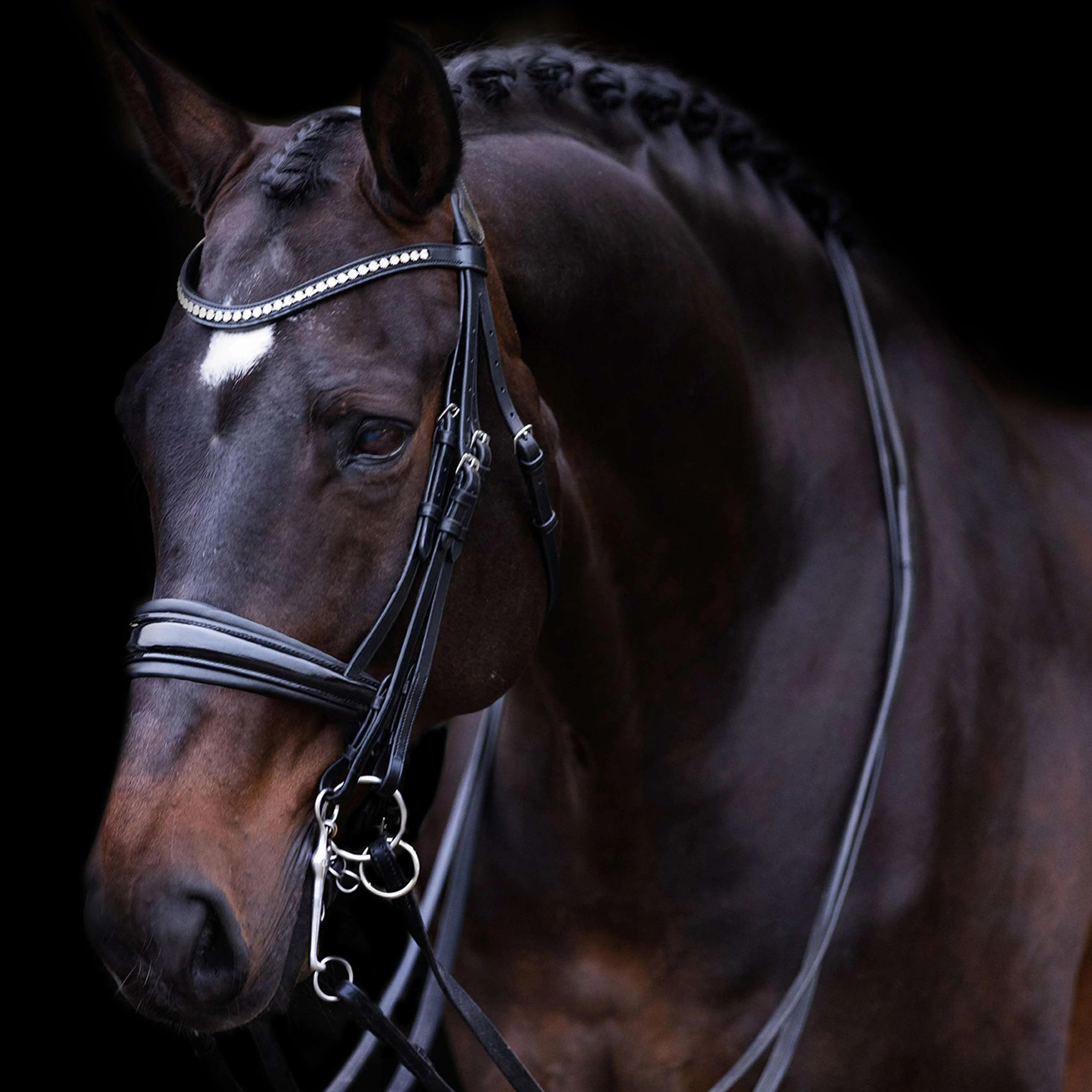Imperial Riding Ensemble Bride IRHFria Noir - Image 3
