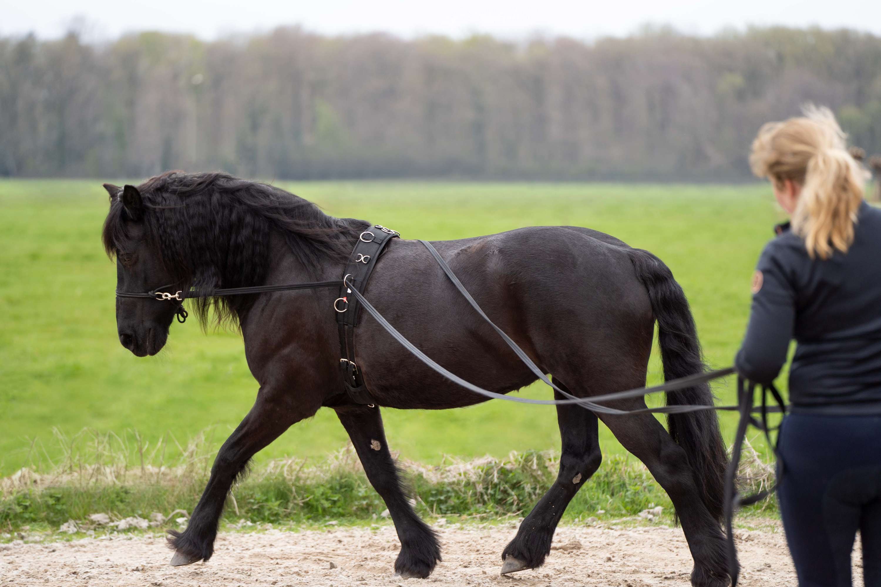 Imperial Riding Longues Lignes IRHFree Ride Noir - Image 2