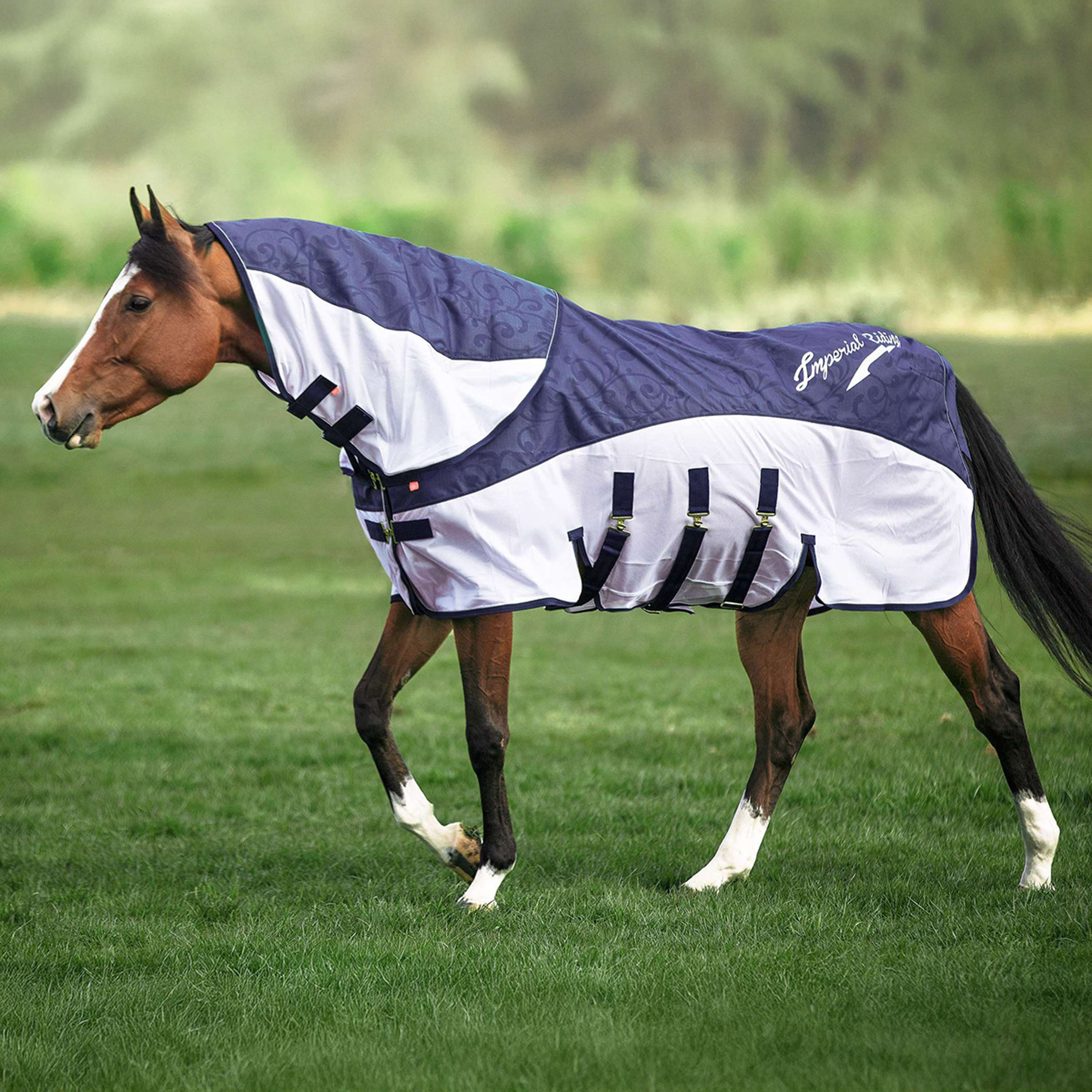 Imperial Riding Moustiquaire et Couverture de Protection Contre la Pluie IRHSuper-Dry Marin - Image 12