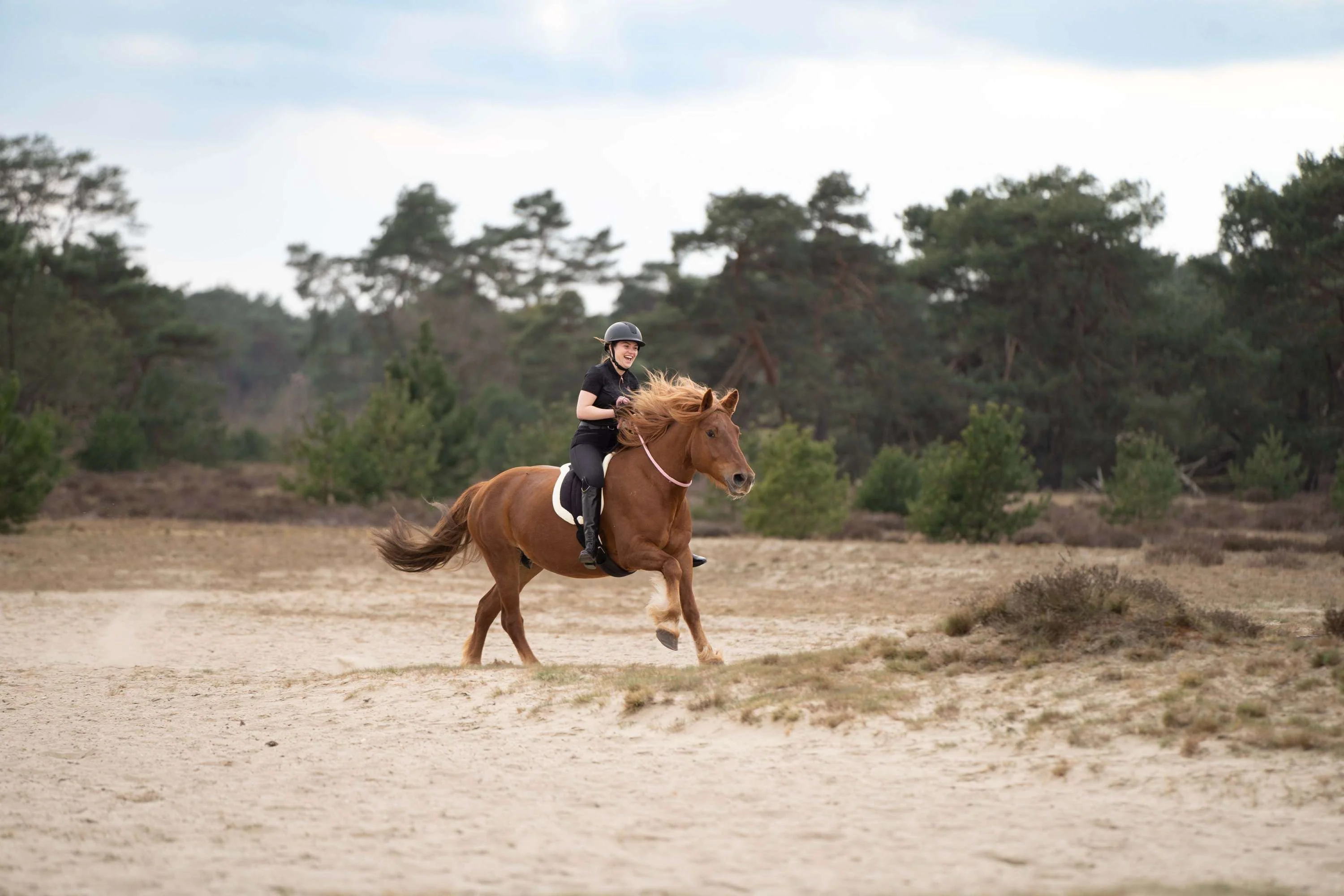 Imperial Riding Pad Sans Selle IRHFree Ride Noir - Image 2