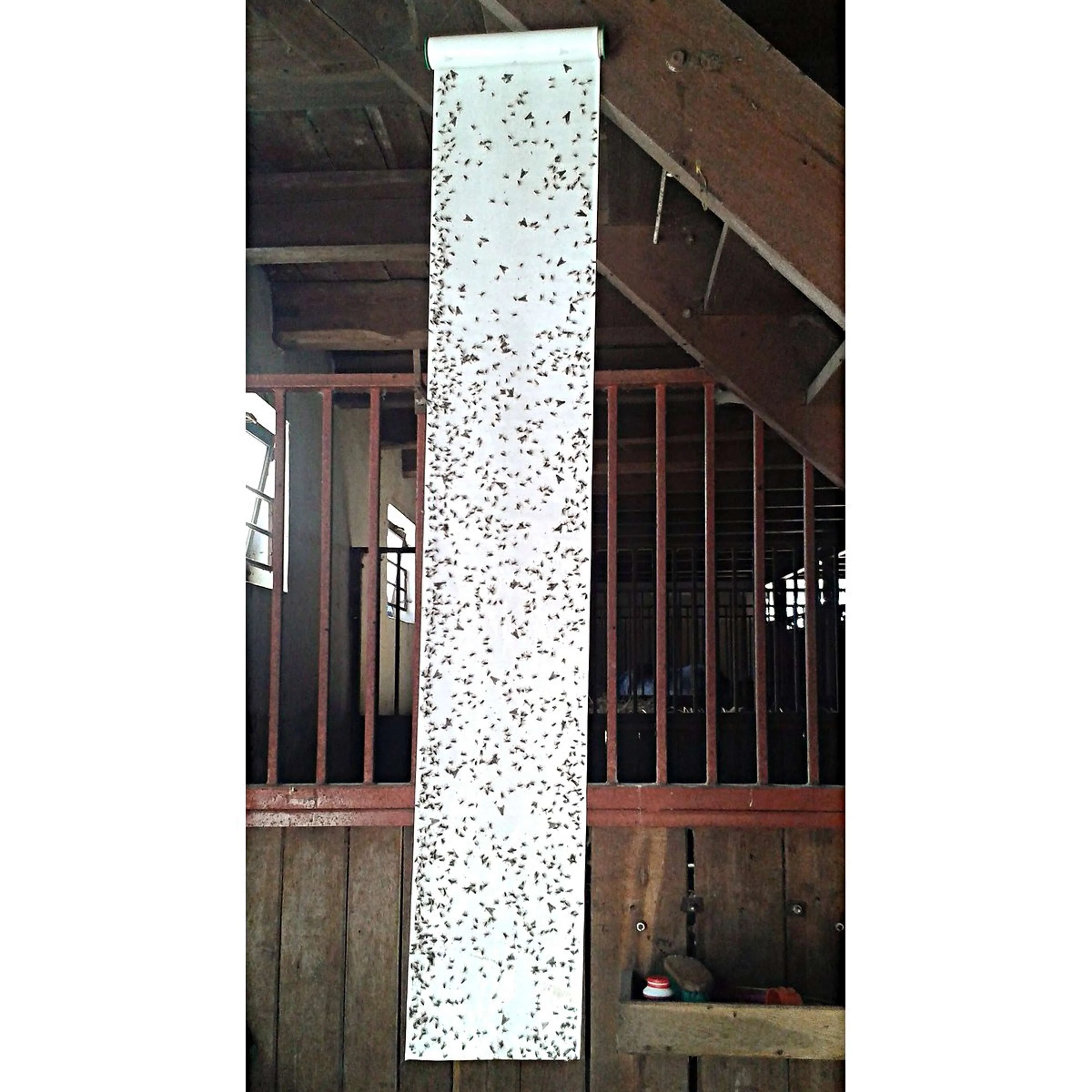 Insective Rouleau volant - Image 6